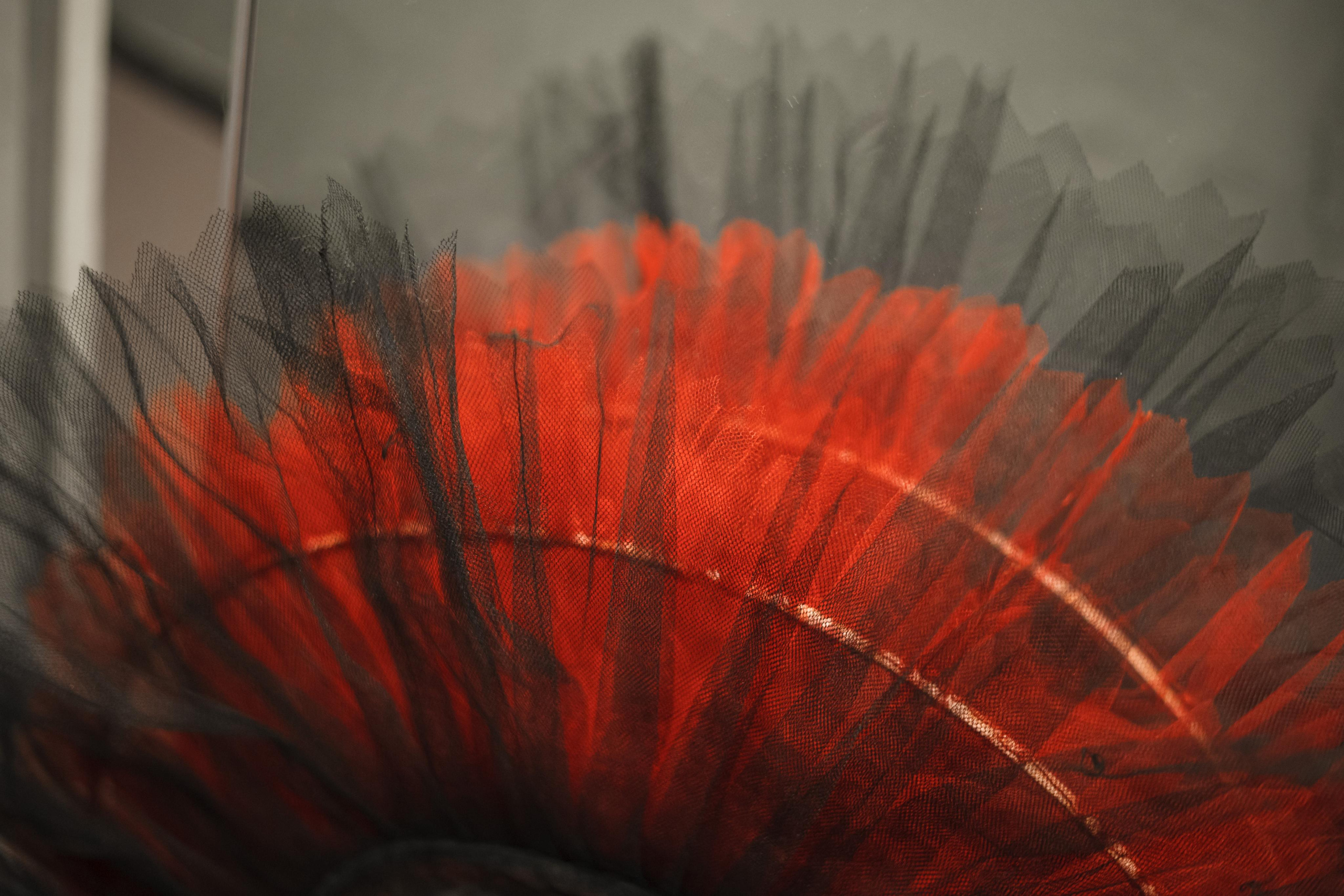 Рок-балет «Чувства». Свадебный и репортажный фотограф (Москва, Королев и другие)