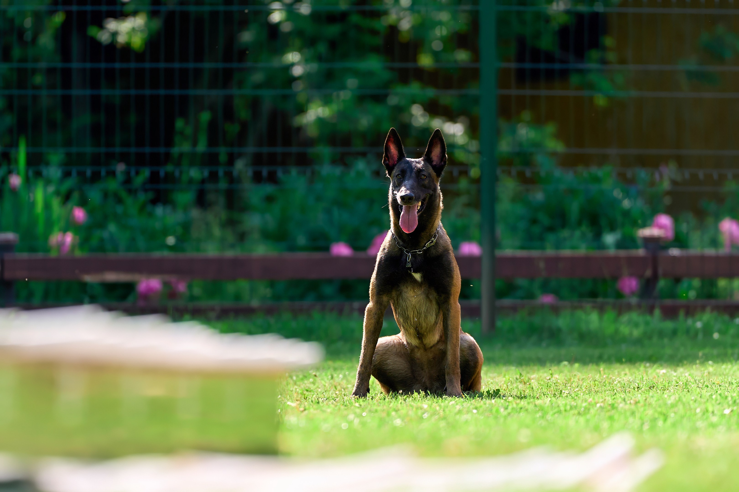 Двухдневные соревнования «Jump'n'Gym Fest — 2024». Фотограф-анималист Михаил Манухин