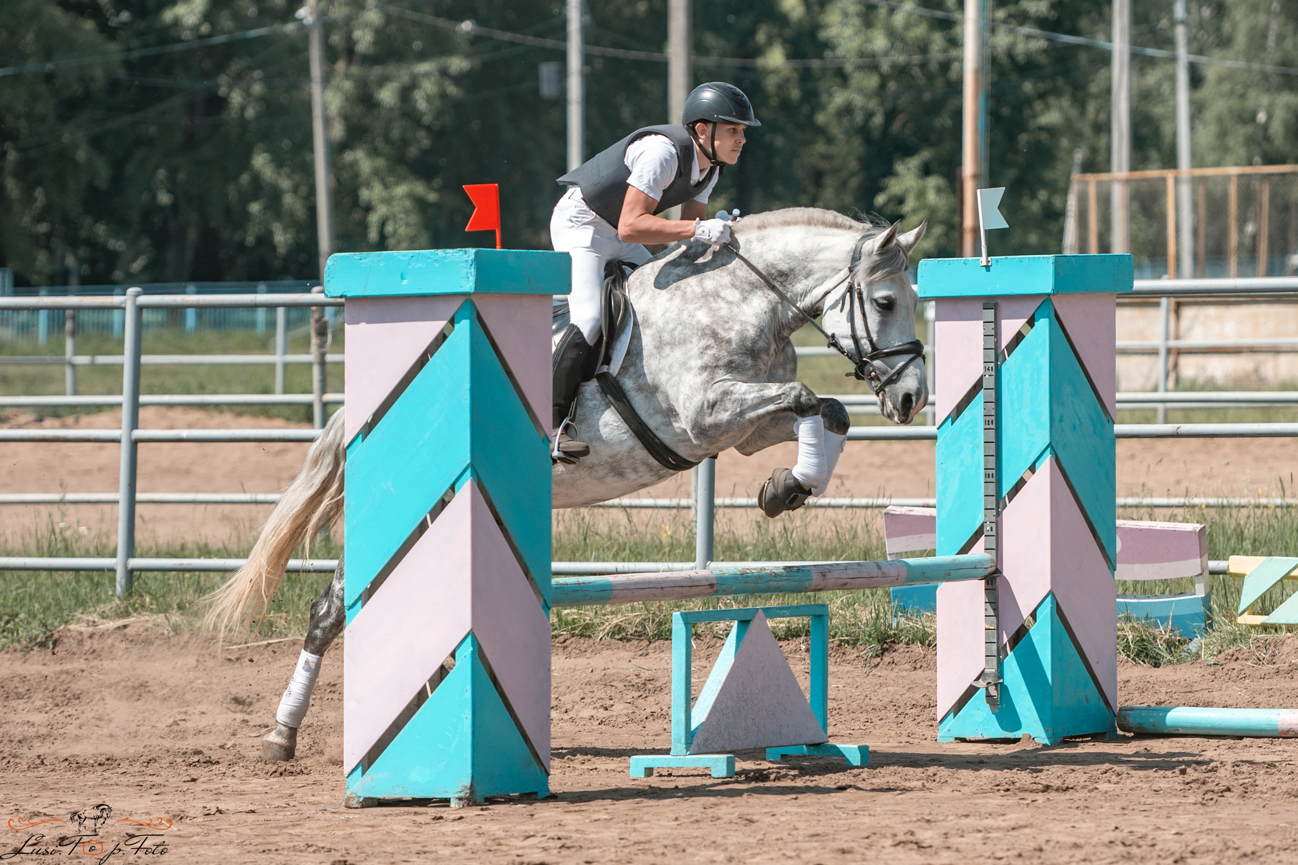 Областной турнир по конкуру КСЦ им. Натальи Серовой. Конный и фотограф с животными в Твери Топталова Люся