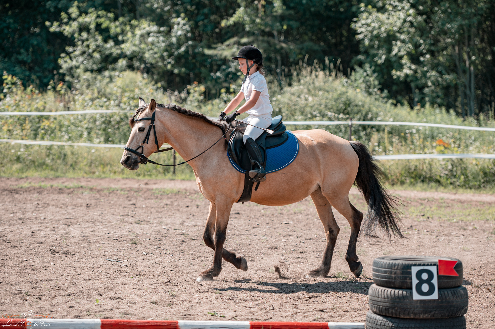 Открытая тренировка КК Forest Horse д. Олбово. Конный и фотограф с животными в Твери Топталова Люся