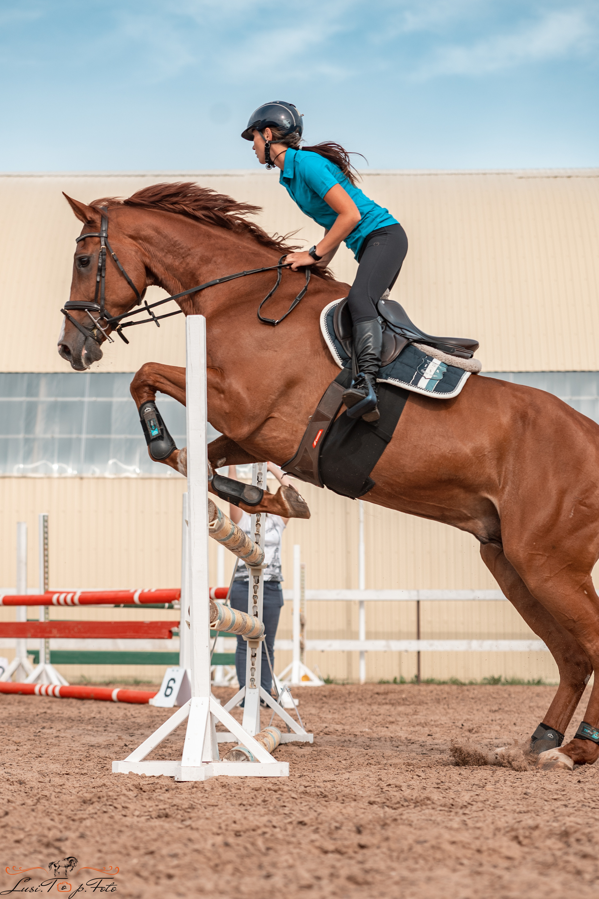 КК Резвая открытая тренировка, летний кубок. Конный и фотограф с животными в Твери Топталова Люся