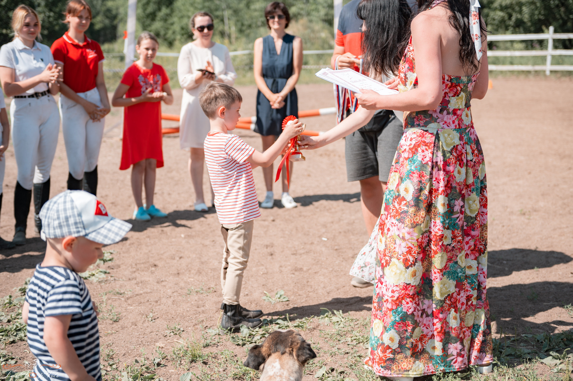 Открытая тренировка КК Forest Horse д. Олбово. Конный и фотограф с животными в Твери Топталова Люся