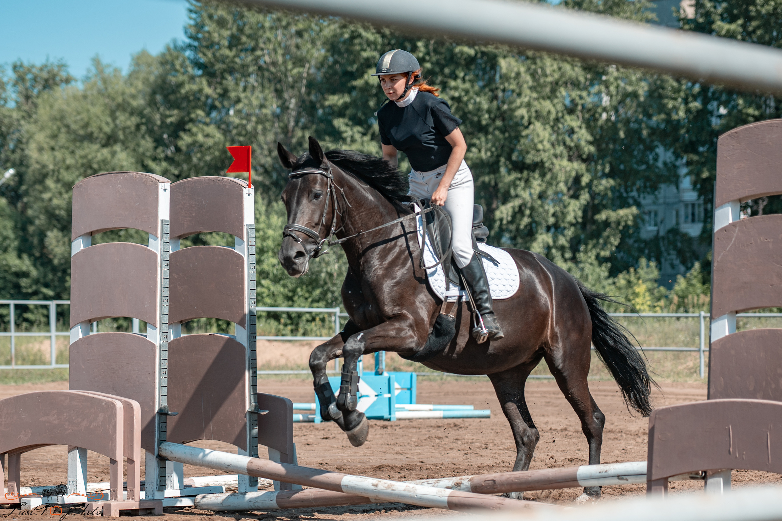 Областной турнир по конкуру КСЦ им. Натальи Серовой. Конный и фотограф с животными в Твери Топталова Люся