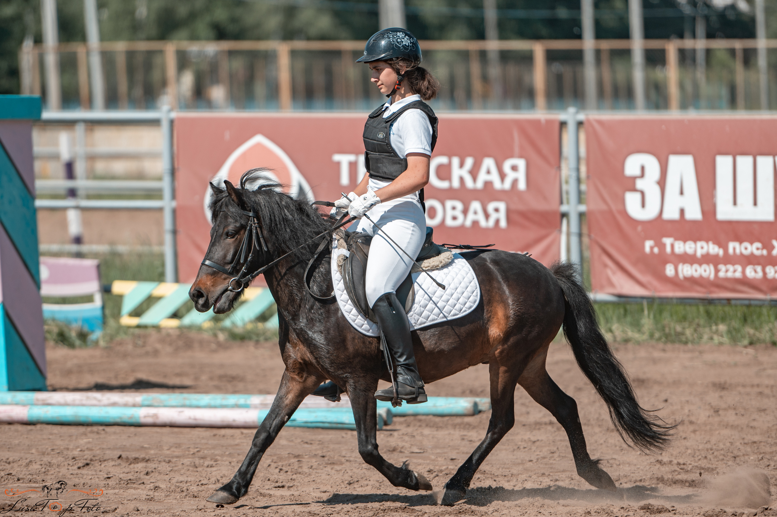 Областной турнир по конкуру КСЦ им. Натальи Серовой. Конный и фотограф с животными в Твери Топталова Люся