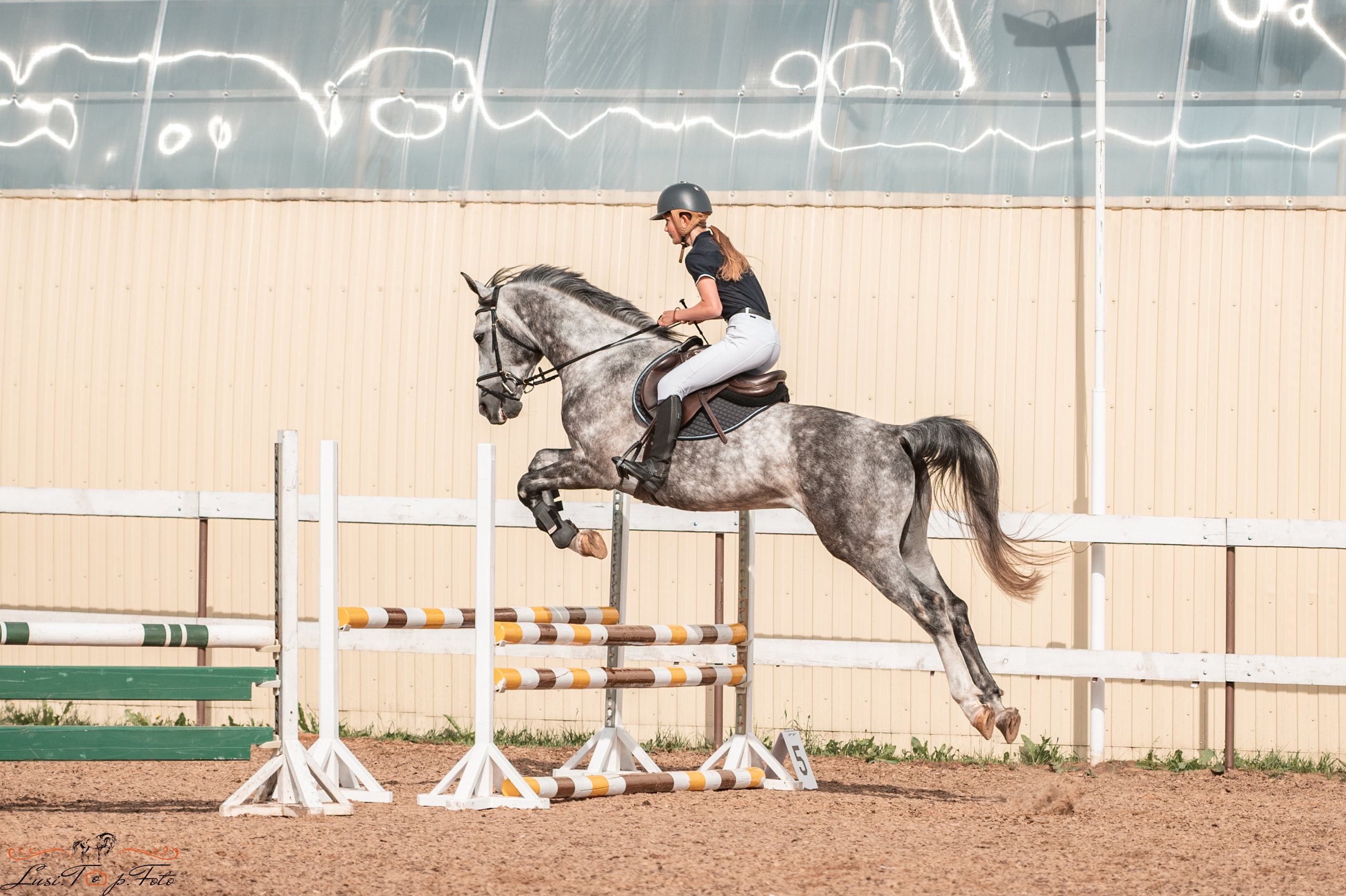 КК Резвая открытая тренировка, летний кубок. Конный и фотограф с животными в Твери Топталова Люся