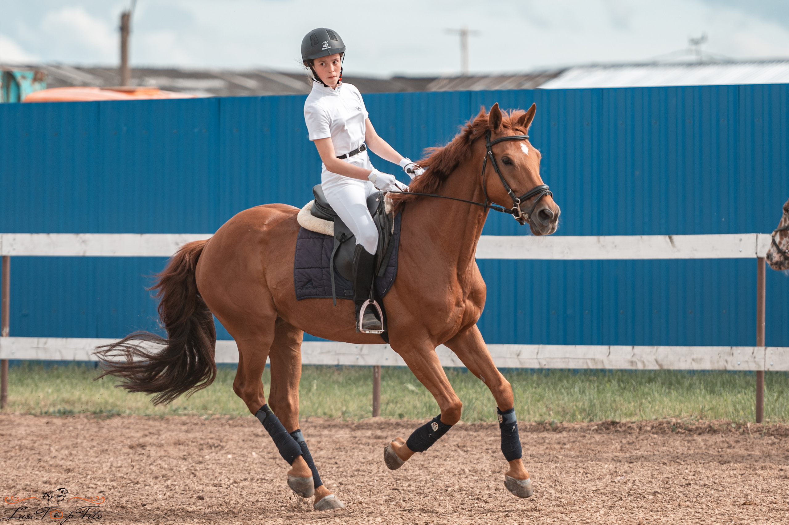 КК Резвая открытая тренировка, летний кубок. Конный и фотограф с животными в Твери Топталова Люся