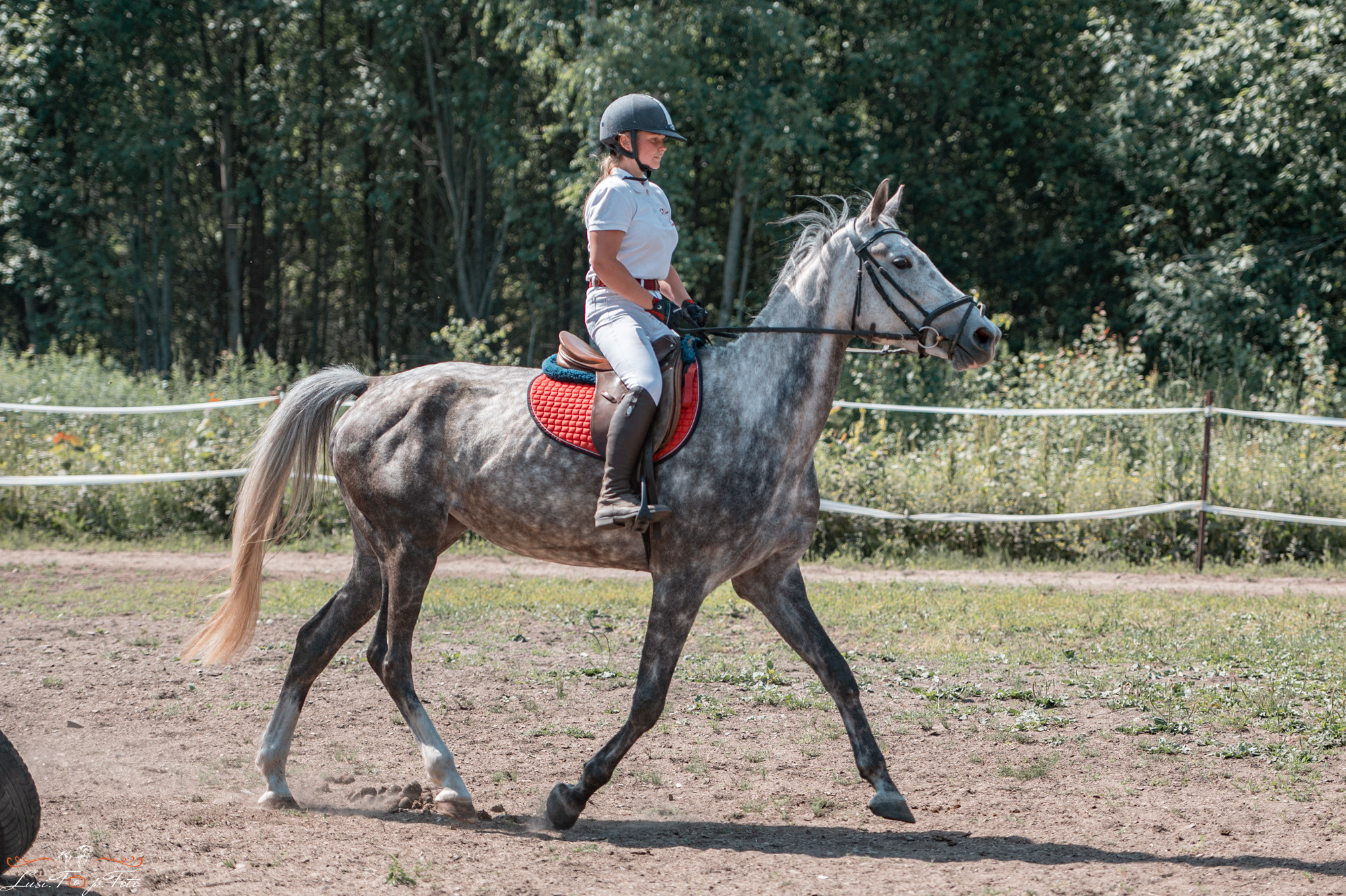Открытая тренировка КК Forest Horse д. Олбово. Конный и фотограф с животными в Твери Топталова Люся