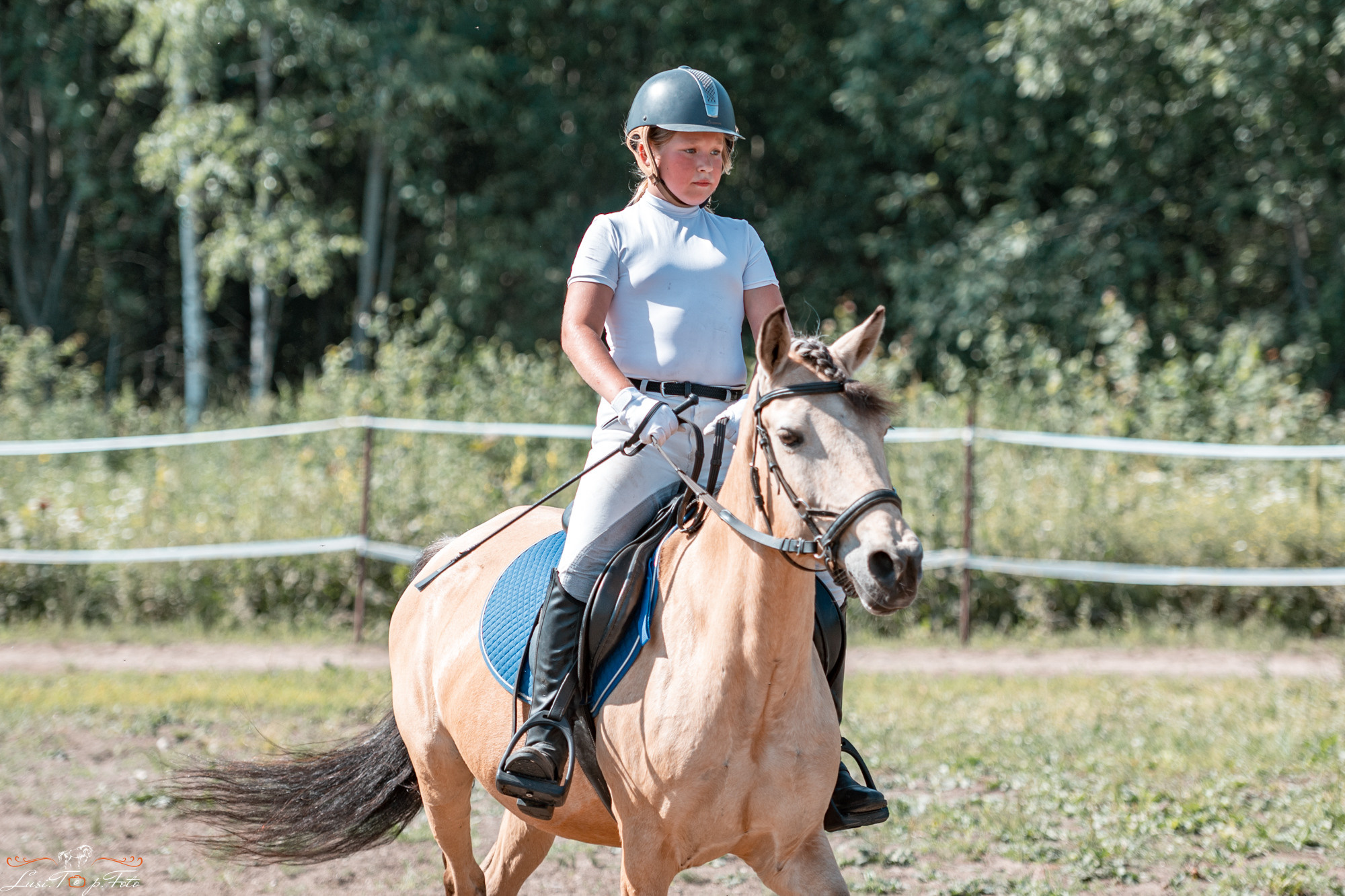 Открытая тренировка КК Forest Horse д. Олбово. Конный и фотограф с животными в Твери Топталова Люся