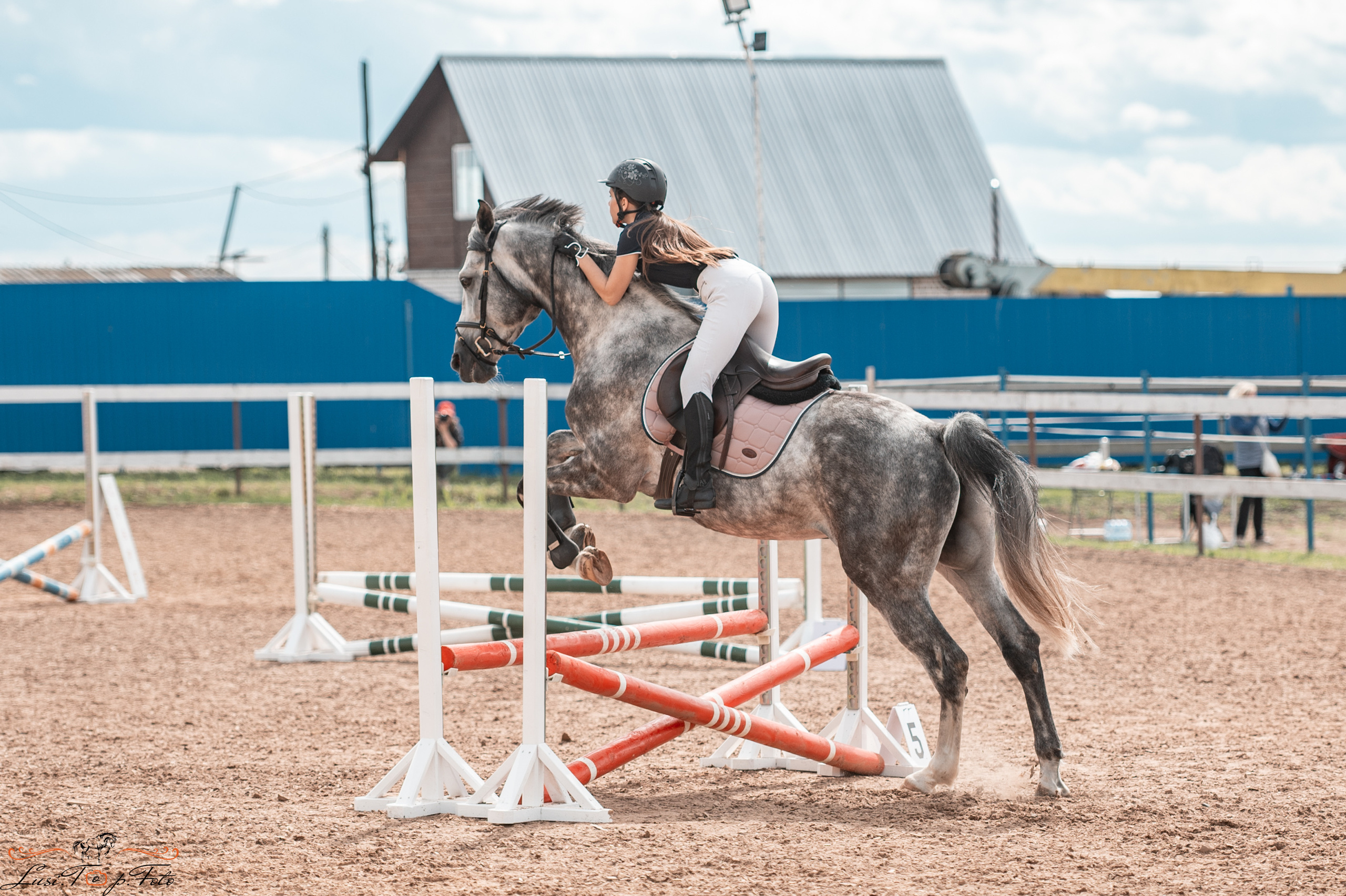 КК Резвая открытая тренировка, летний кубок. Конный и фотограф с животными в Твери Топталова Люся