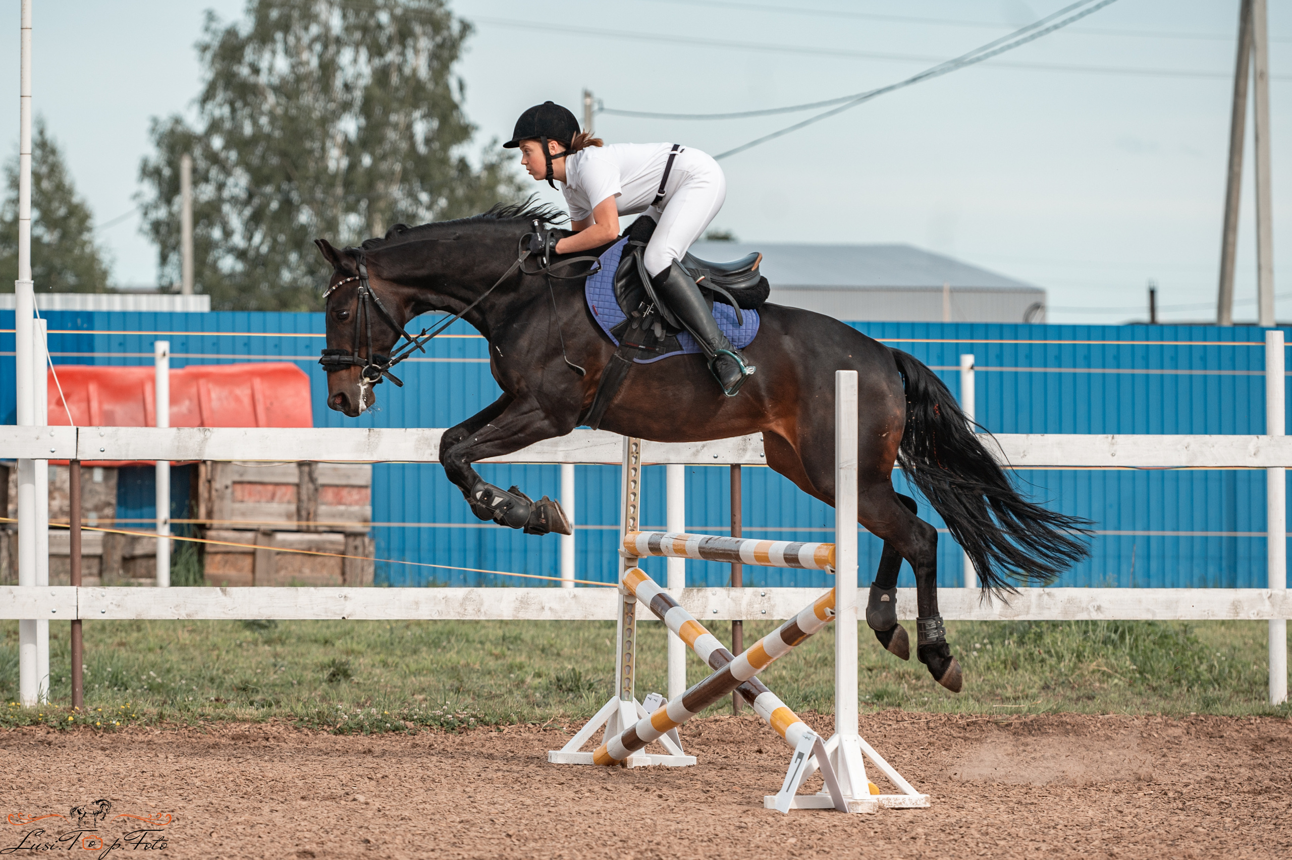 КК Резвая открытая тренировка, летний кубок. Конный и фотограф с животными в Твери Топталова Люся
