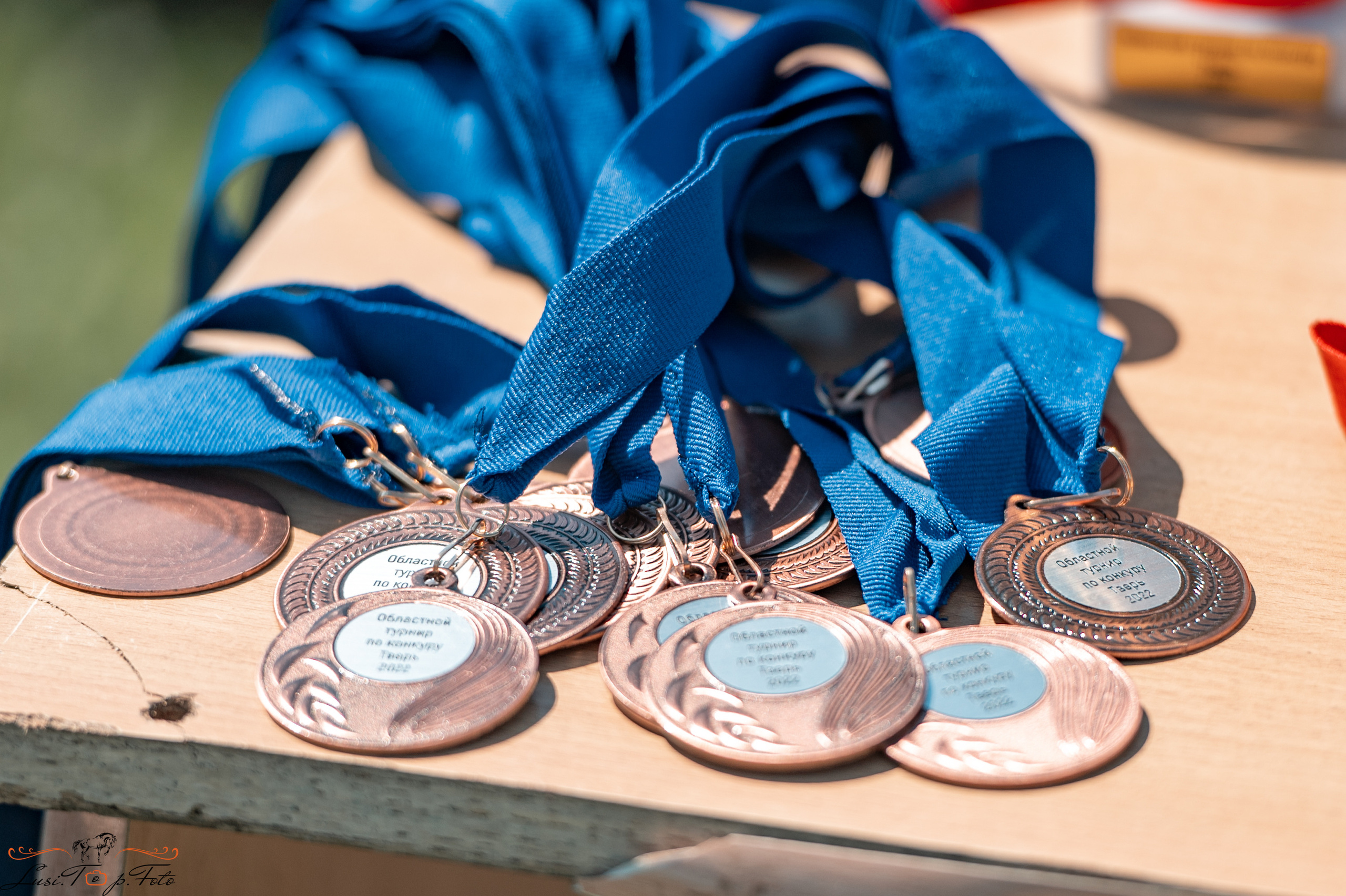 Областной турнир по конкуру КСЦ им. Натальи Серовой. Конный и фотограф с животными в Твери Топталова Люся