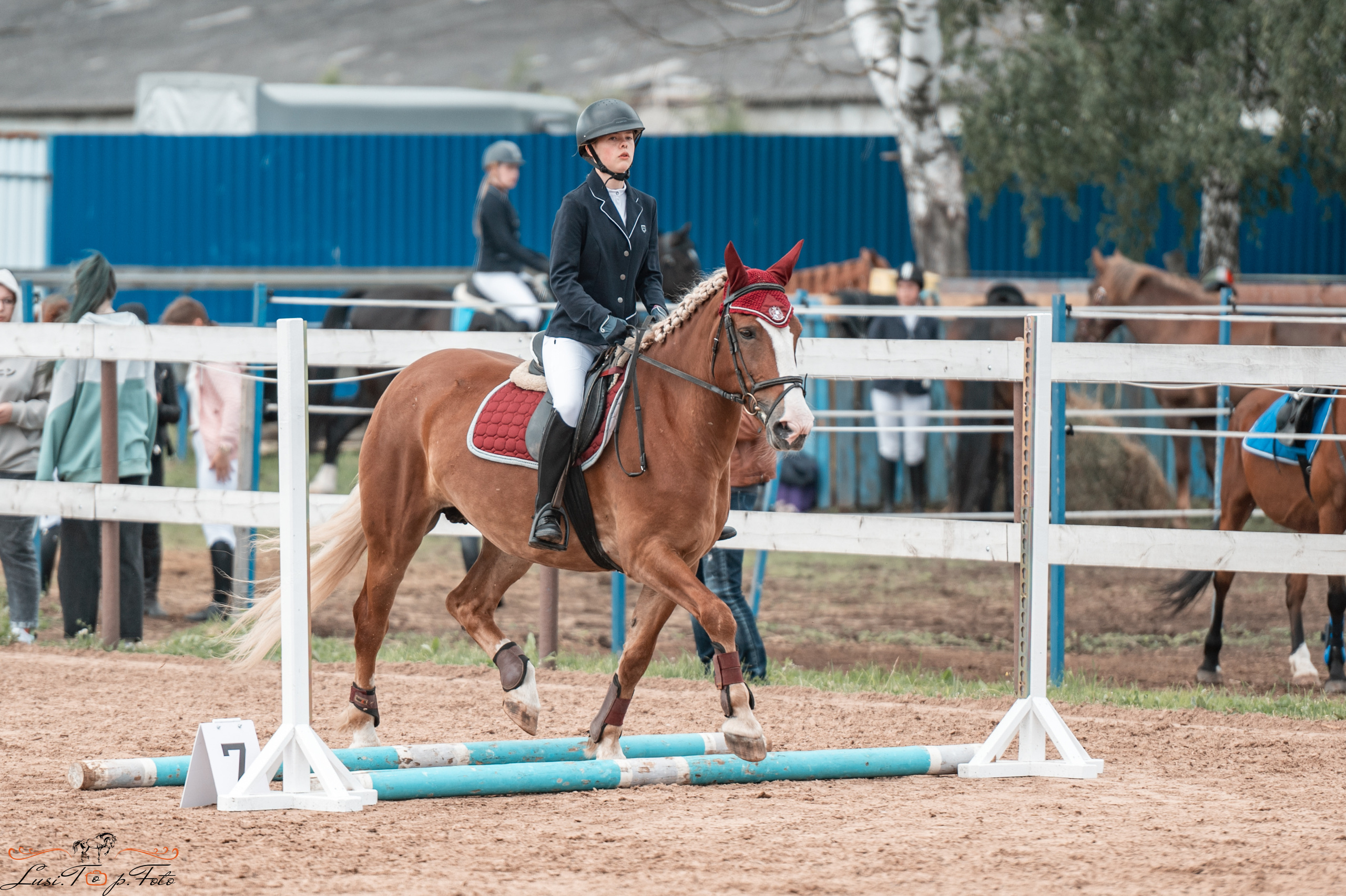 КК Резвая открытая тренировка, летний кубок. Конный и фотограф с животными в Твери Топталова Люся