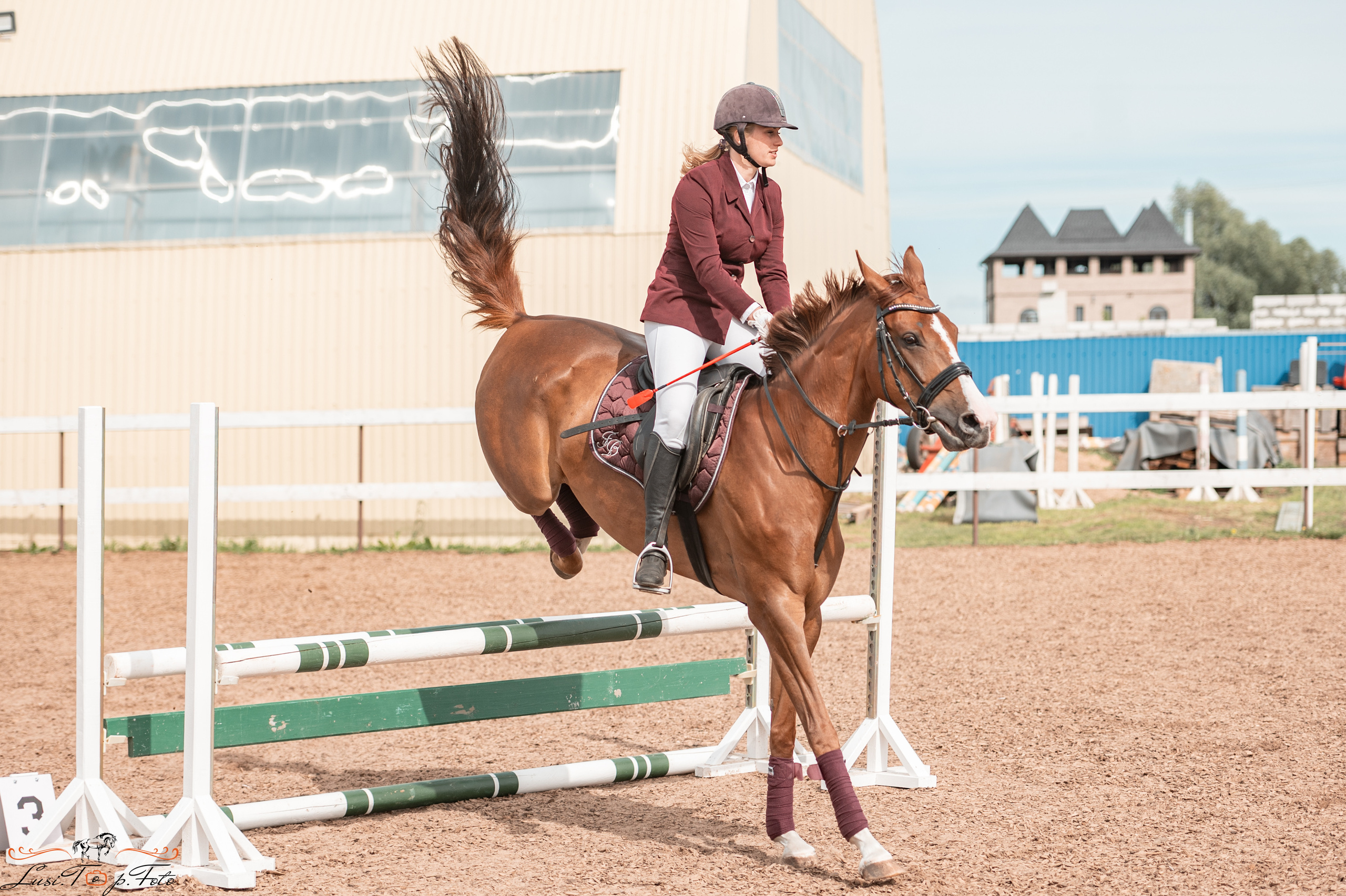 КК Резвая открытая тренировка, летний кубок. Конный и фотограф с животными в Твери Топталова Люся