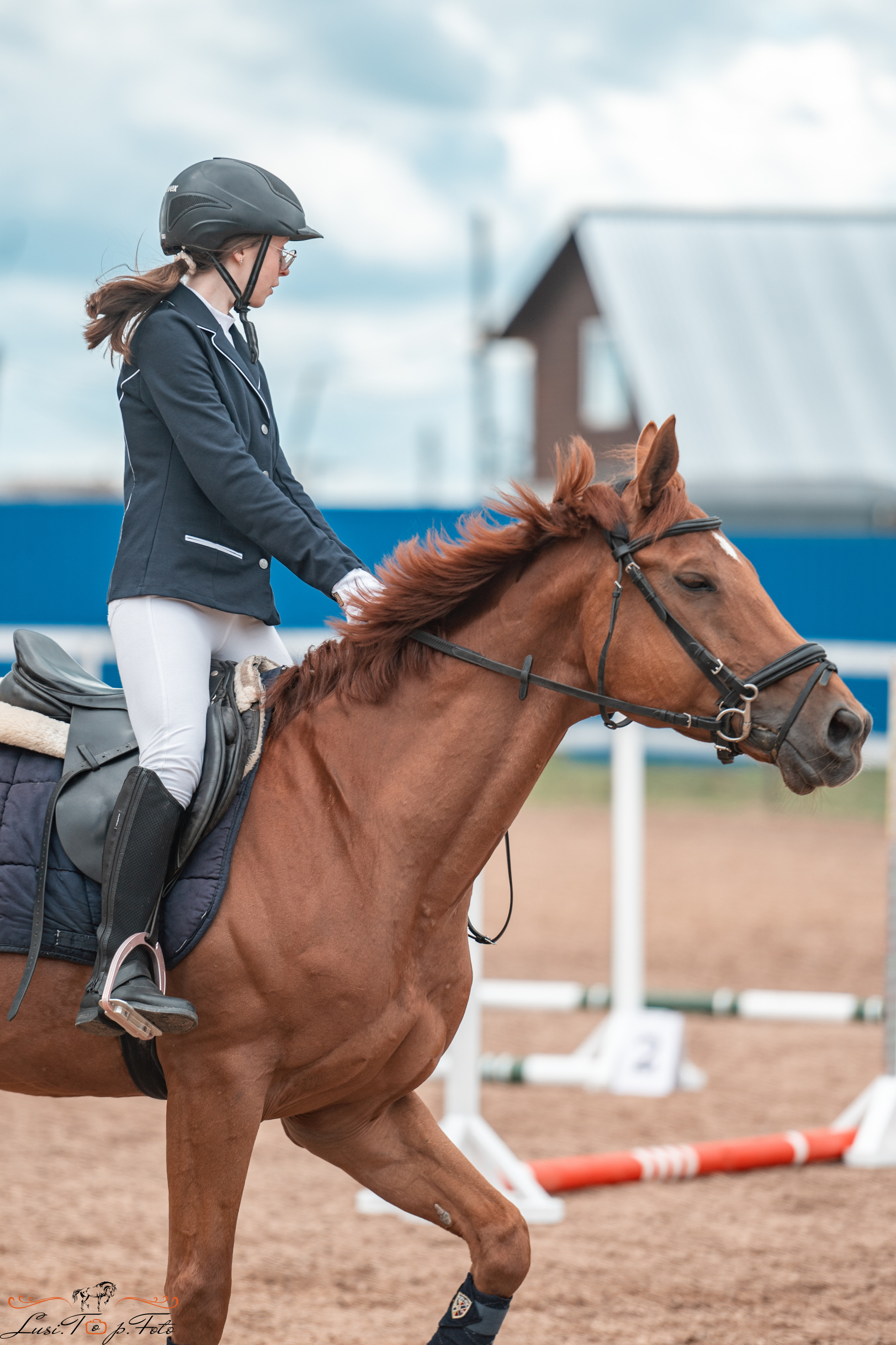 КК Резвая открытая тренировка, летний кубок. Конный и фотограф с животными в Твери Топталова Люся
