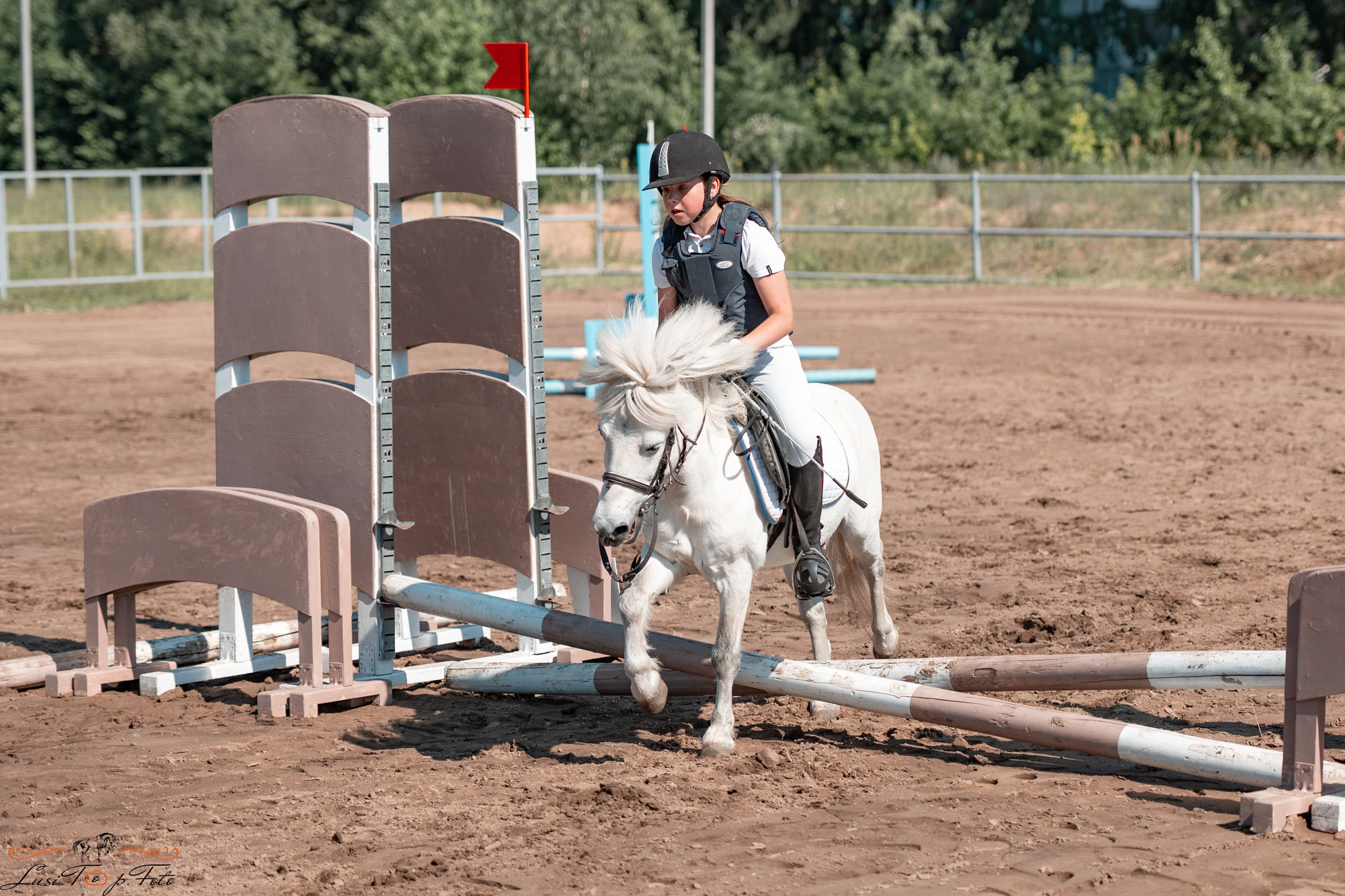 Областной турнир по конкуру КСЦ им. Натальи Серовой. Конный и фотограф с животными в Твери Топталова Люся