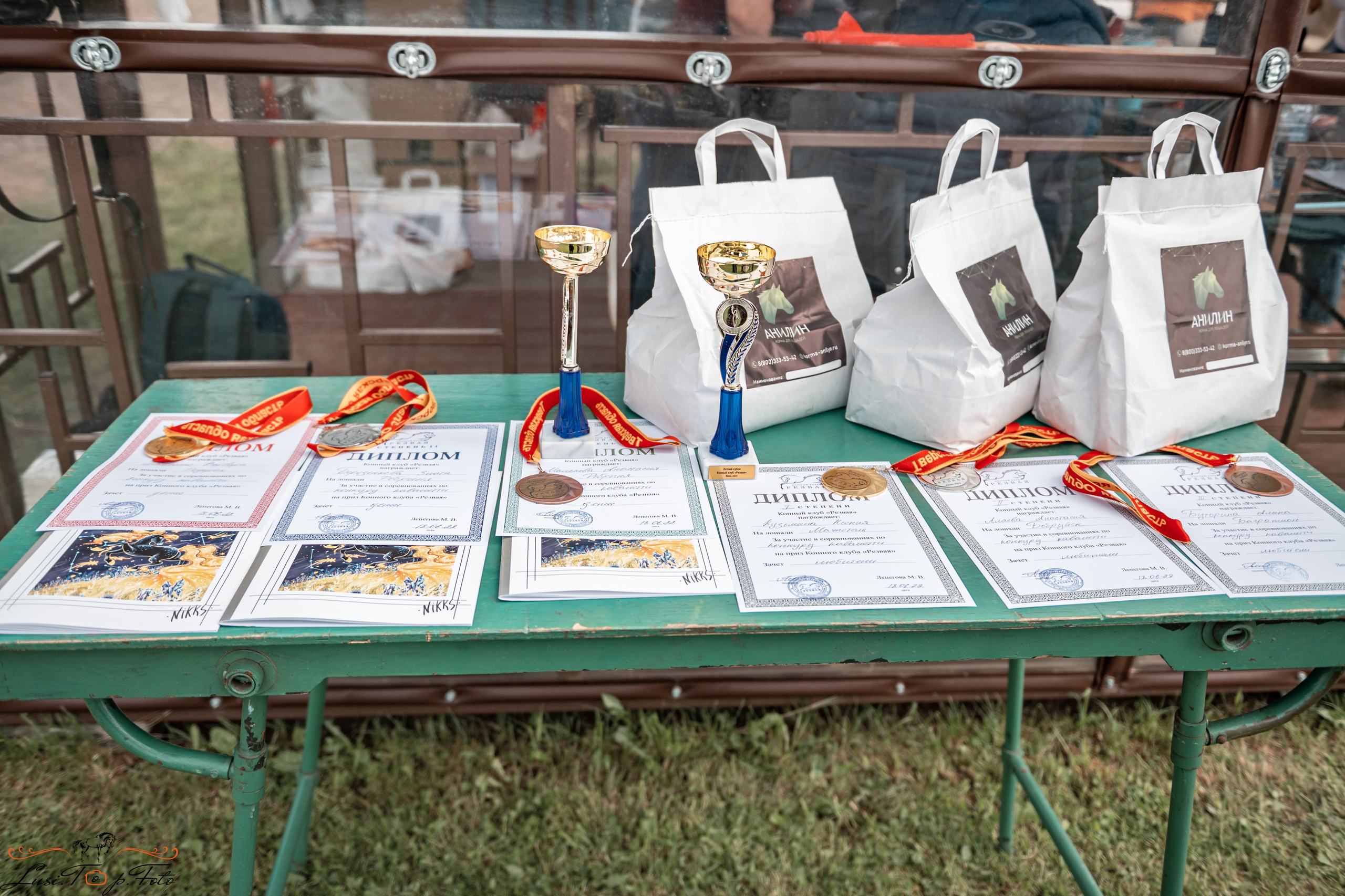 КК Резвая открытая тренировка, летний кубок. Конный и фотограф с животными в Твери Топталова Люся