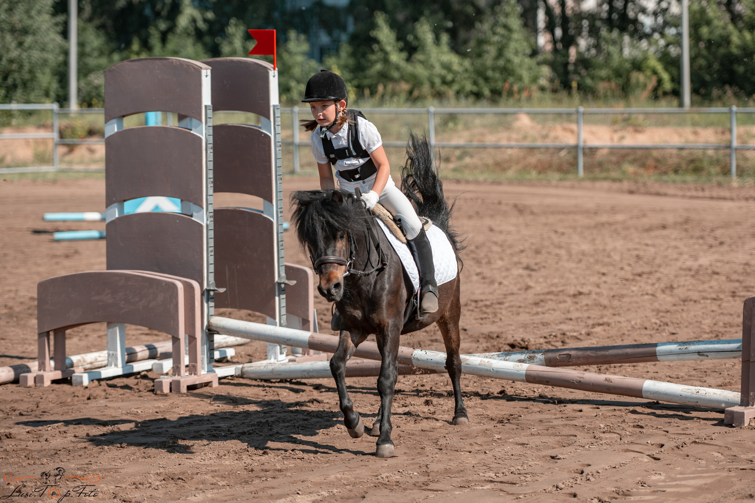 Областной турнир по конкуру КСЦ им. Натальи Серовой. Конный и фотограф с животными в Твери Топталова Люся
