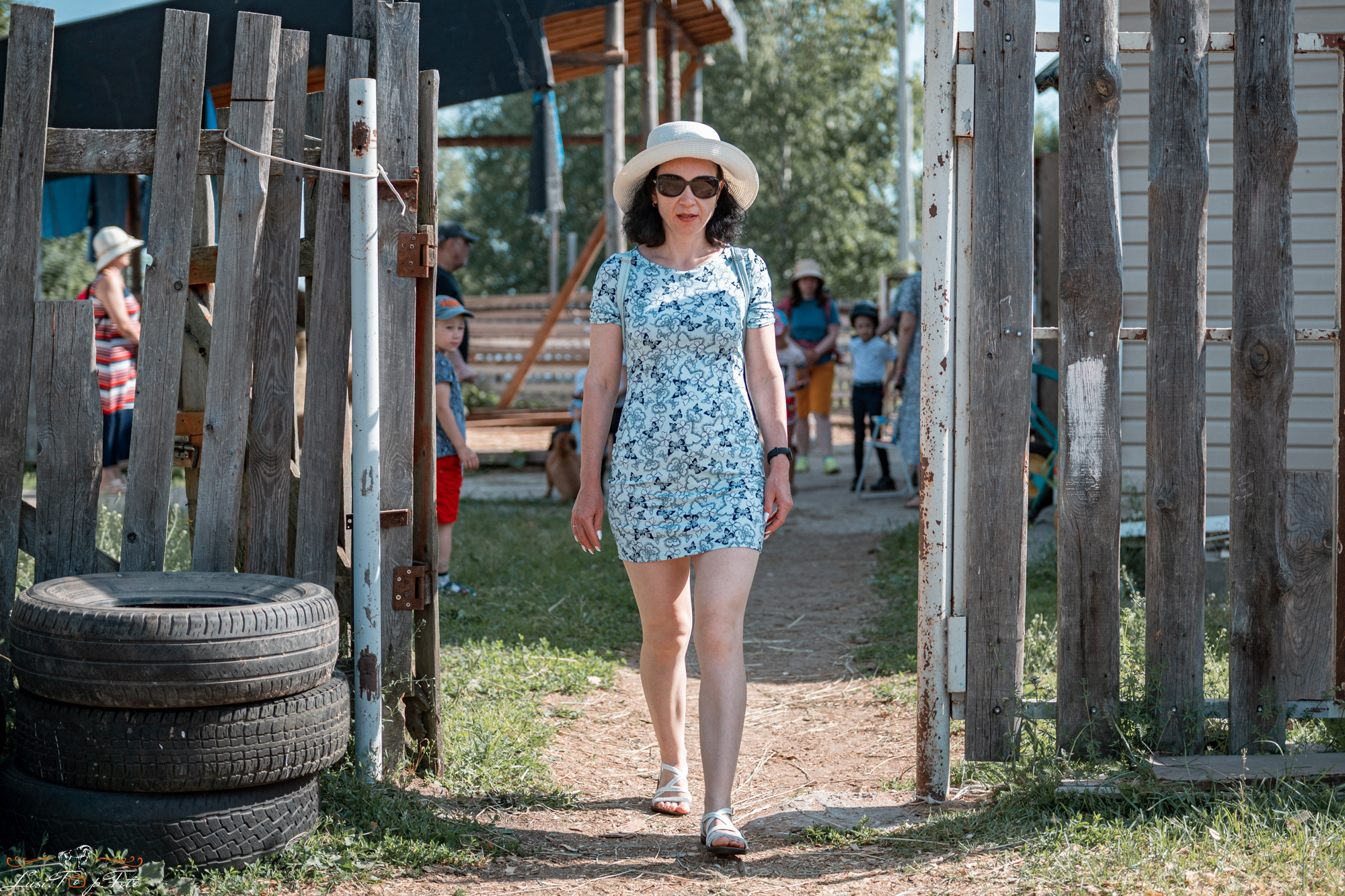 Открытая тренировка КК Forest Horse д. Олбово. Конный и фотограф с животными в Твери Топталова Люся