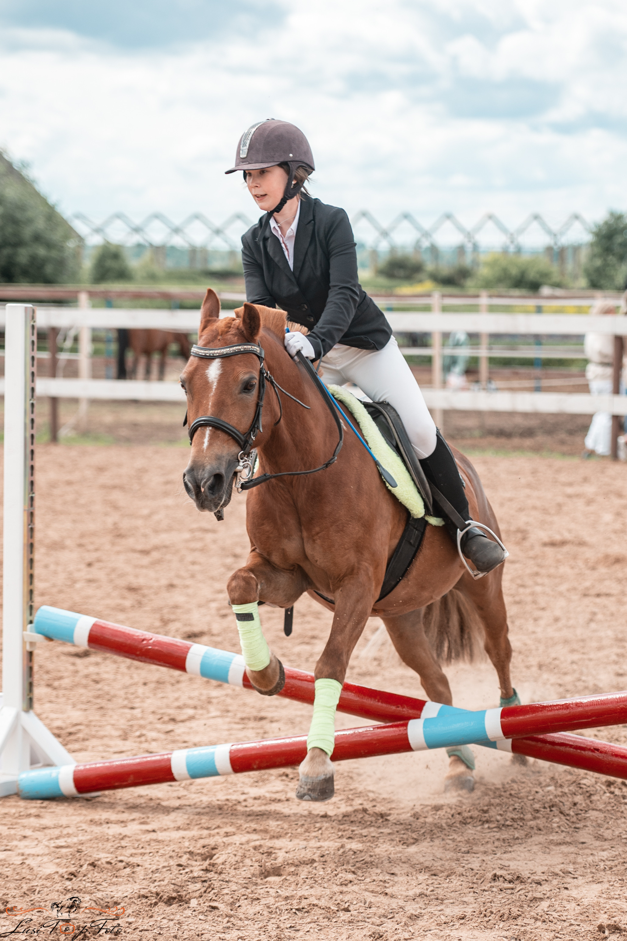 КК Резвая открытая тренировка, летний кубок. Конный и фотограф с животными в Твери Топталова Люся