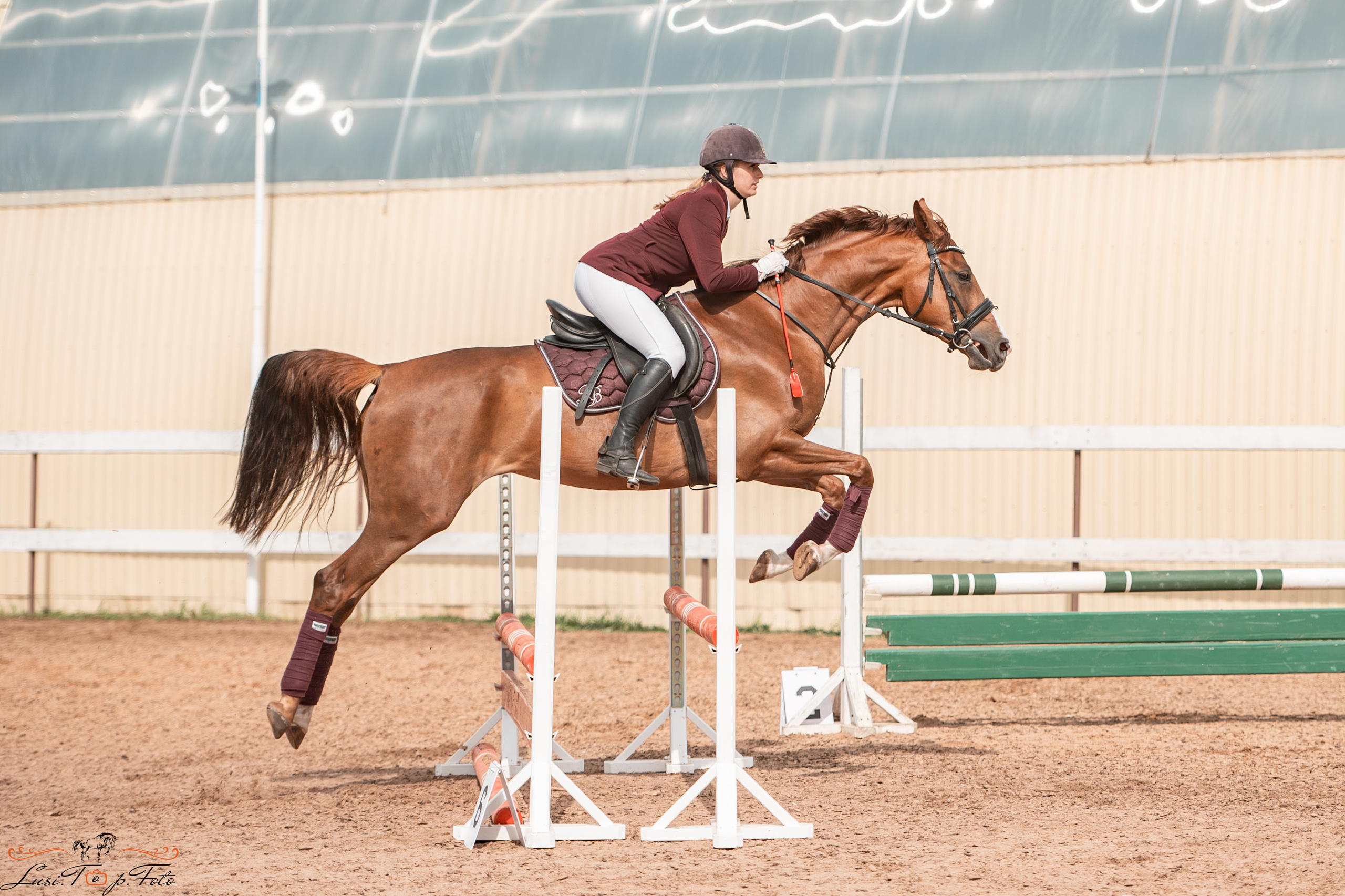КК Резвая открытая тренировка, летний кубок. Конный и фотограф с животными в Твери Топталова Люся