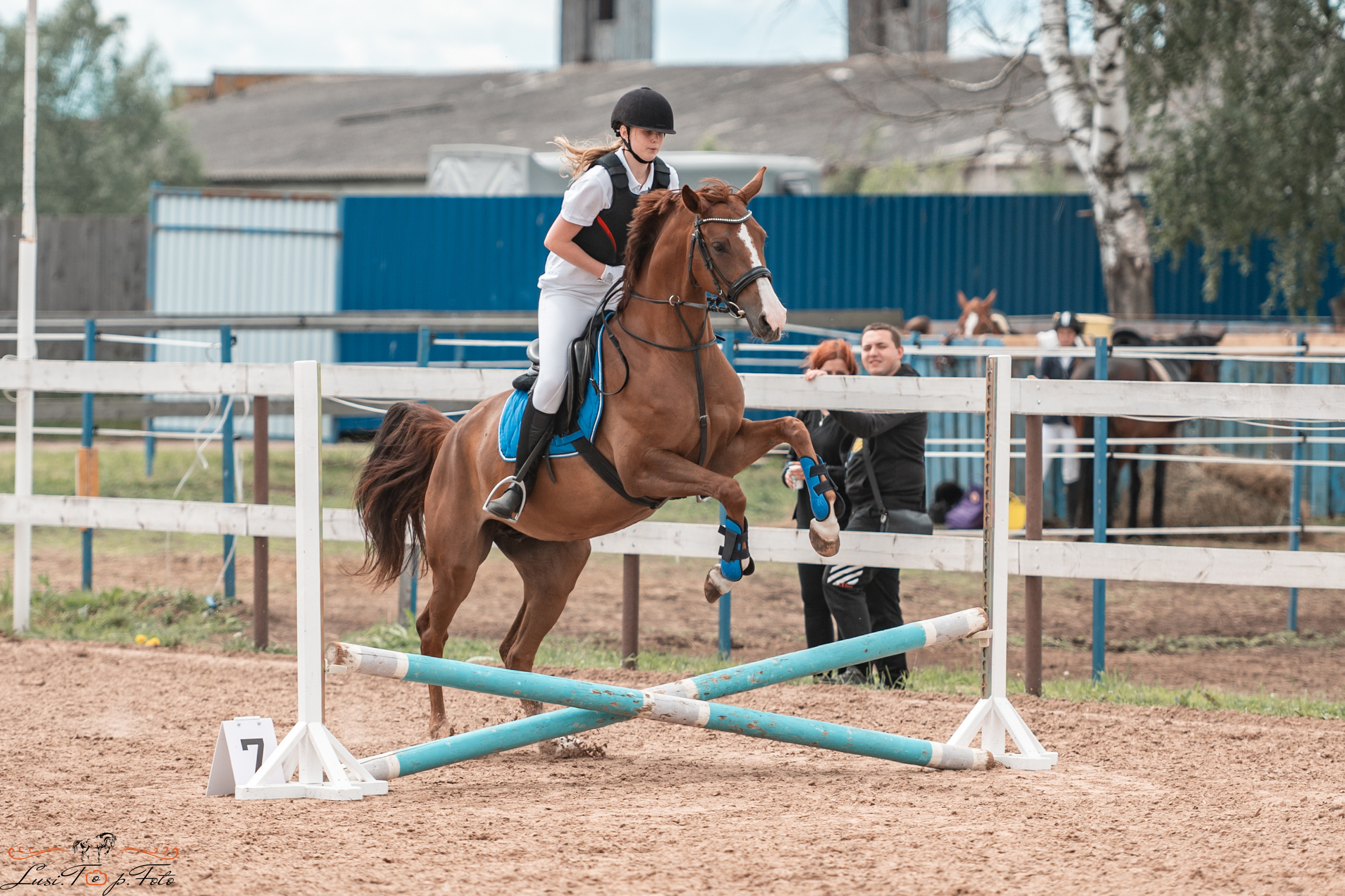 КК Резвая открытая тренировка, летний кубок. Конный и фотограф с животными в Твери Топталова Люся