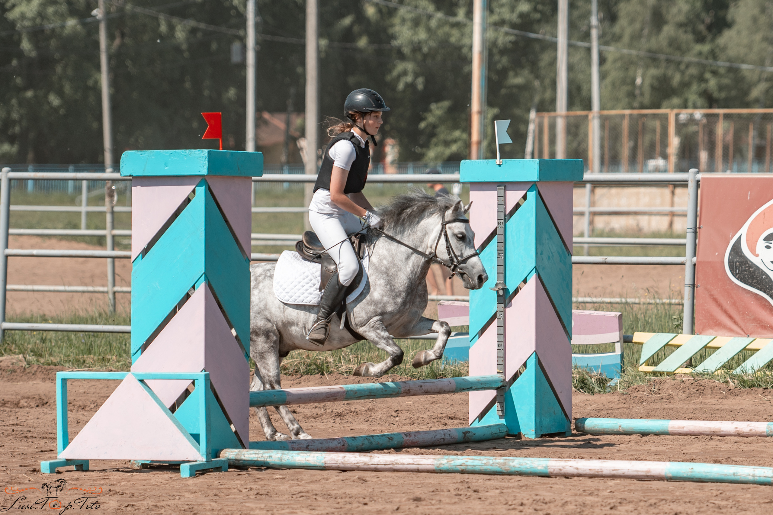 Областной турнир по конкуру КСЦ им. Натальи Серовой. Конный и фотограф с животными в Твери Топталова Люся