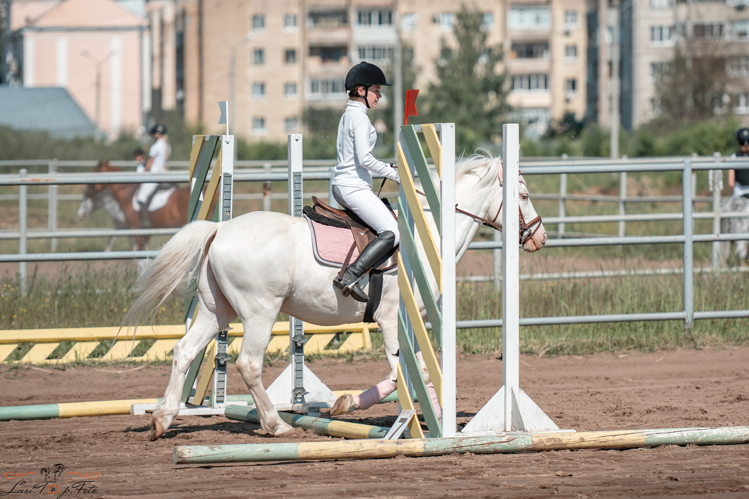Областной турнир по конкуру КСЦ им. Натальи Серовой. Конный и фотограф с животными в Твери Топталова Люся