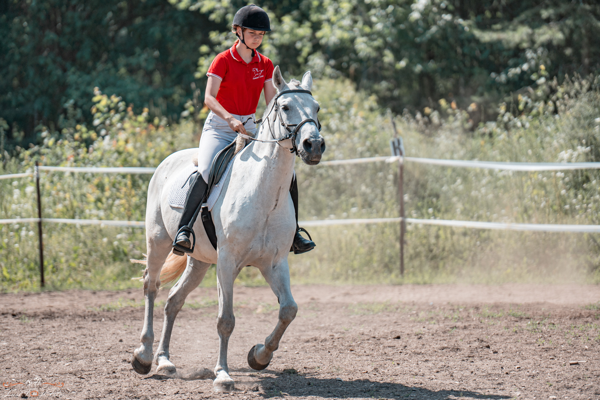 Открытая тренировка КК Forest Horse д. Олбово. Конный и фотограф с животными в Твери Топталова Люся