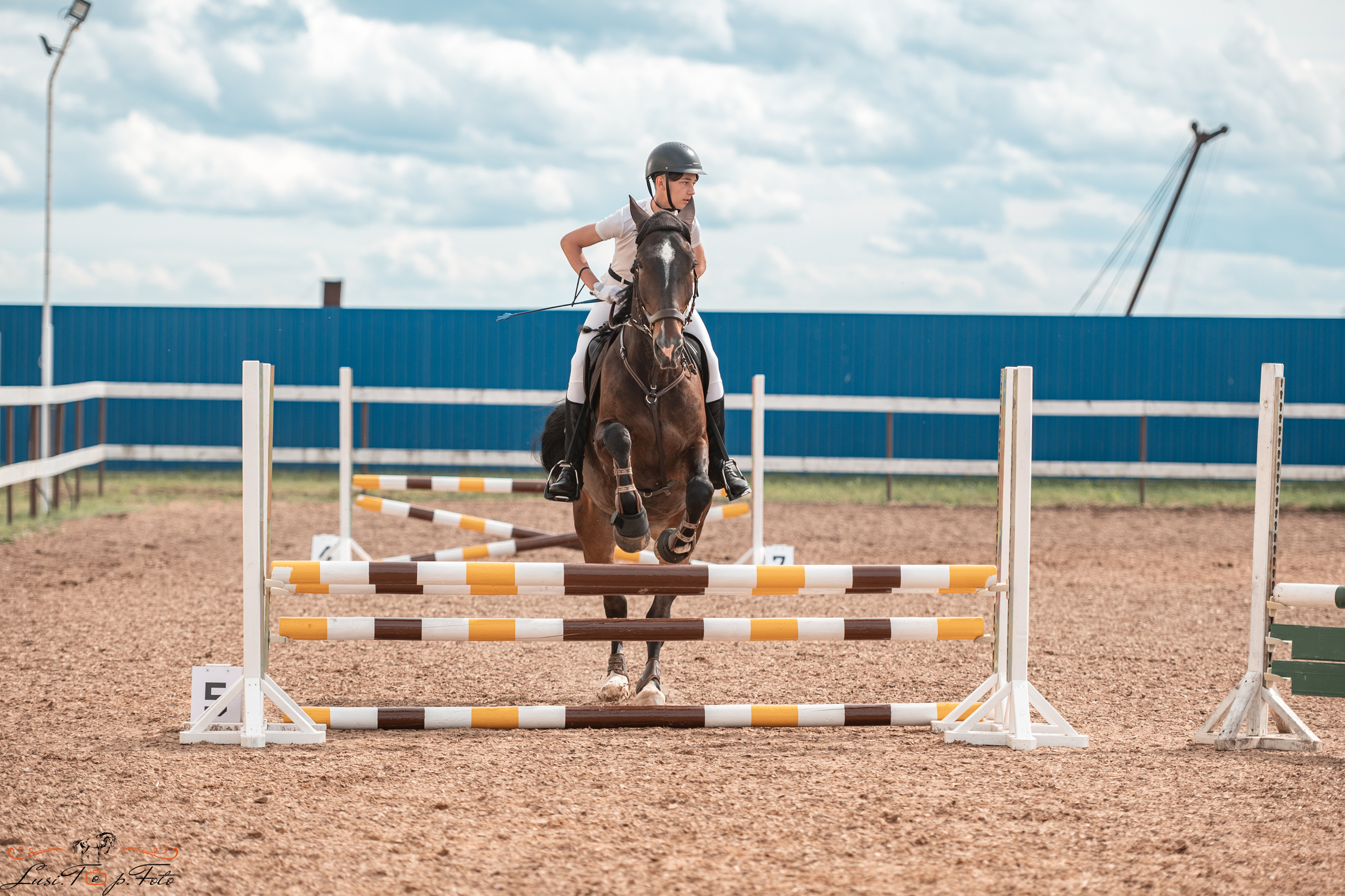 КК Резвая открытая тренировка, летний кубок. Конный и фотограф с животными в Твери Топталова Люся