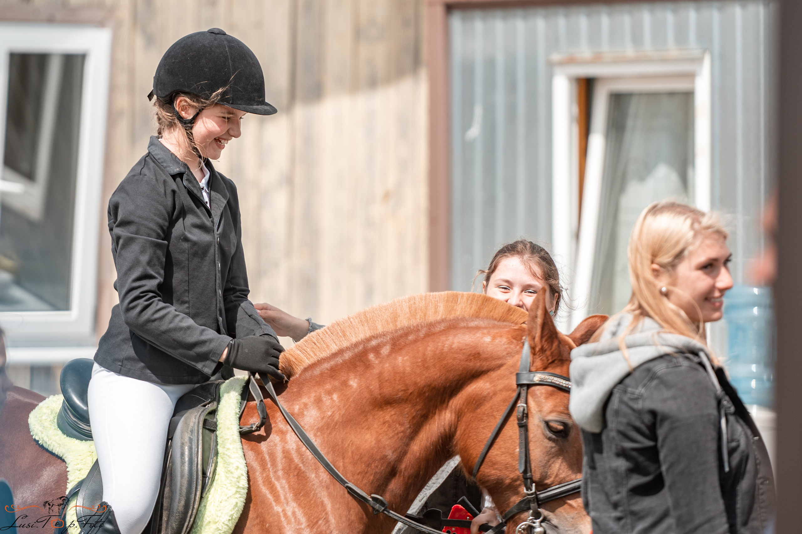 КК Резвая открытая тренировка, летний кубок. Конный и фотограф с животными в Твери Топталова Люся