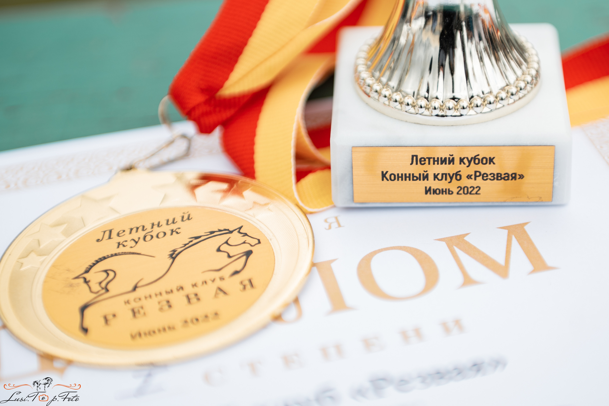 КК Резвая открытая тренировка, летний кубок. Конный и фотограф с животными в Твери Топталова Люся