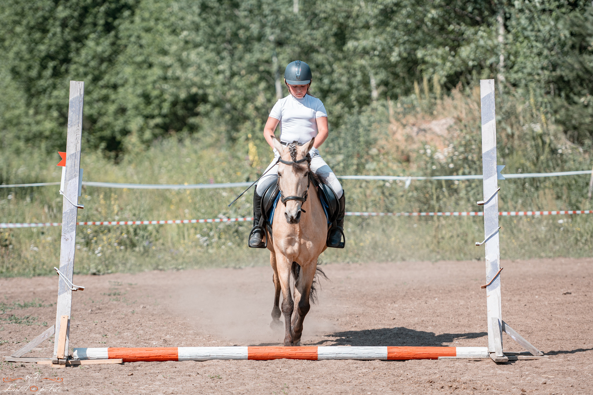 Открытая тренировка КК Forest Horse д. Олбово. Конный и фотограф с животными в Твери Топталова Люся
