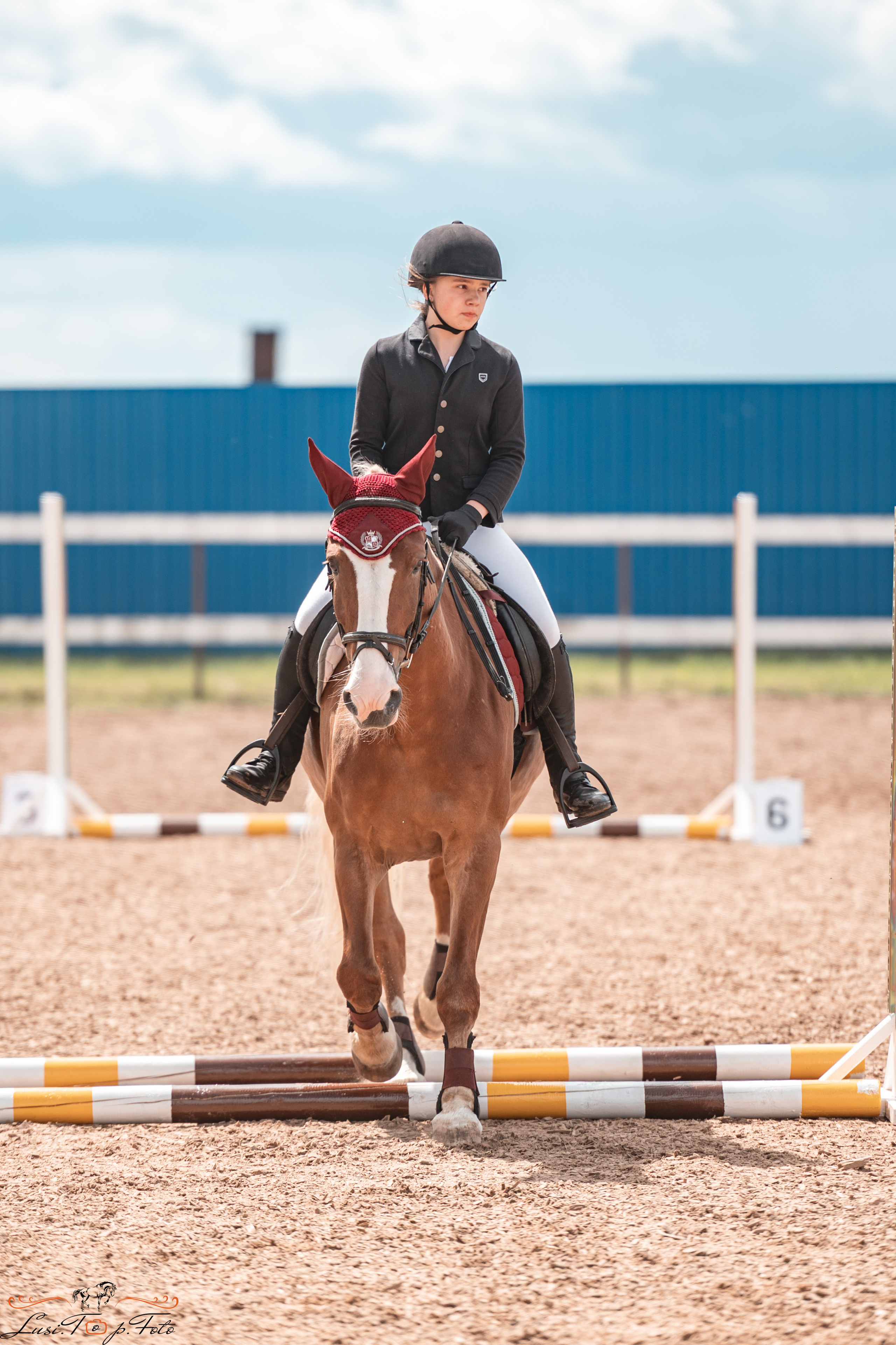 КК Резвая открытая тренировка, летний кубок. Конный и фотограф с животными в Твери Топталова Люся