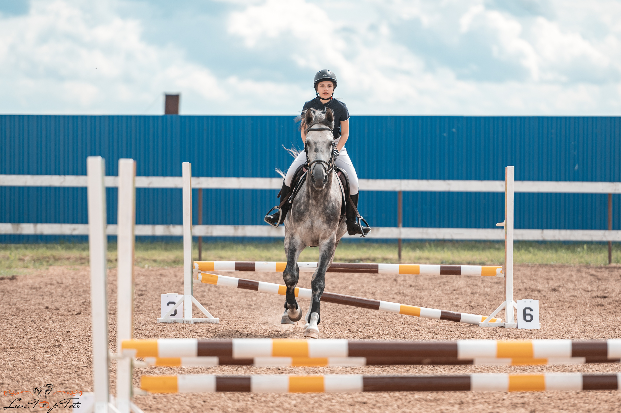 КК Резвая открытая тренировка, летний кубок. Конный и фотограф с животными в Твери Топталова Люся