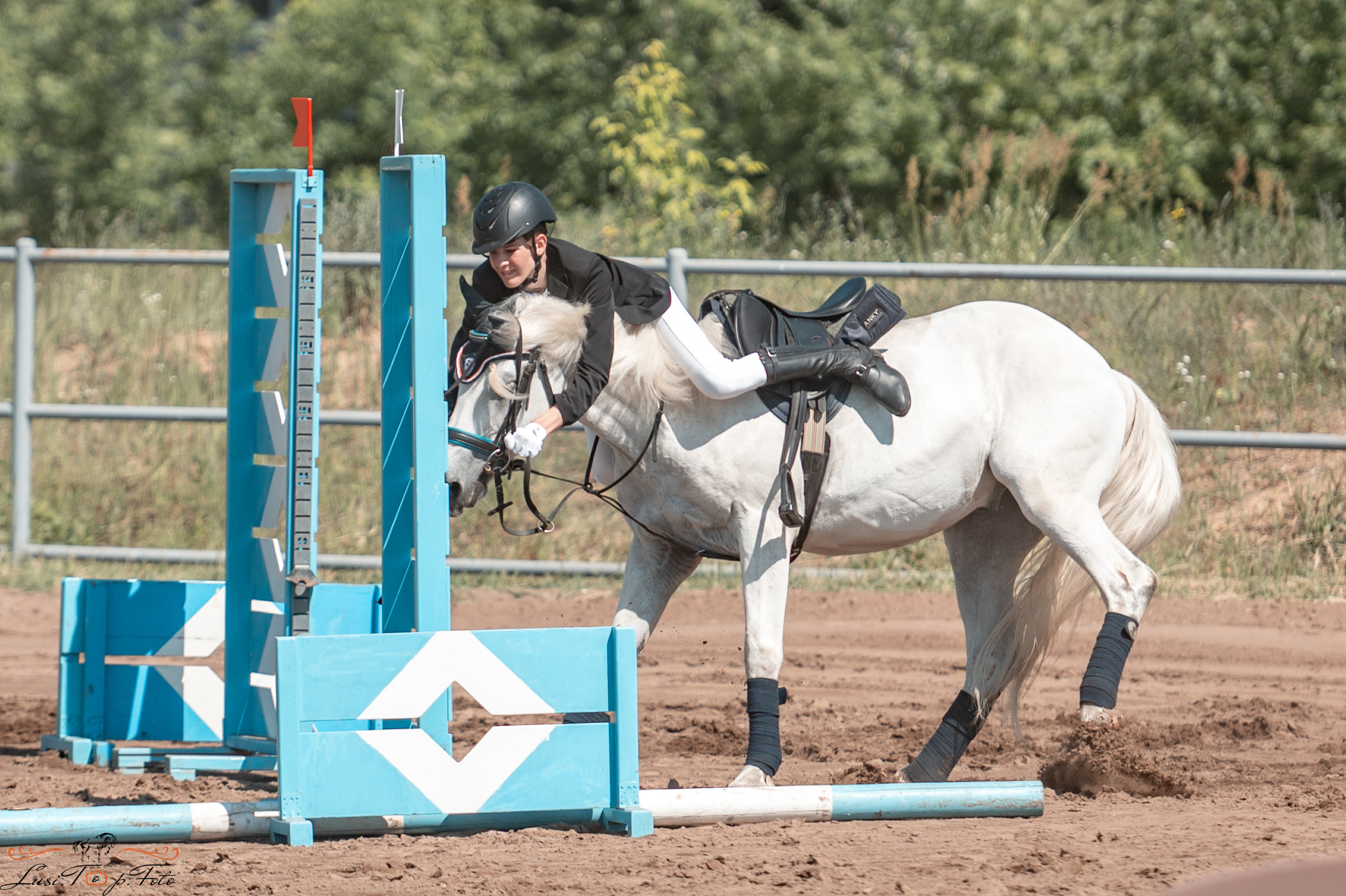 Областной турнир по конкуру КСЦ им. Натальи Серовой. Конный и фотограф с животными в Твери Топталова Люся