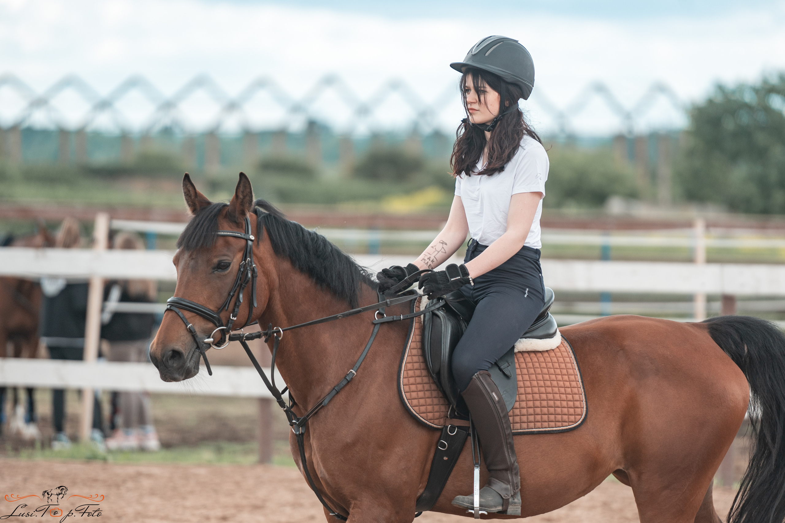 КК Резвая открытая тренировка, летний кубок. Конный и фотограф с животными в Твери Топталова Люся