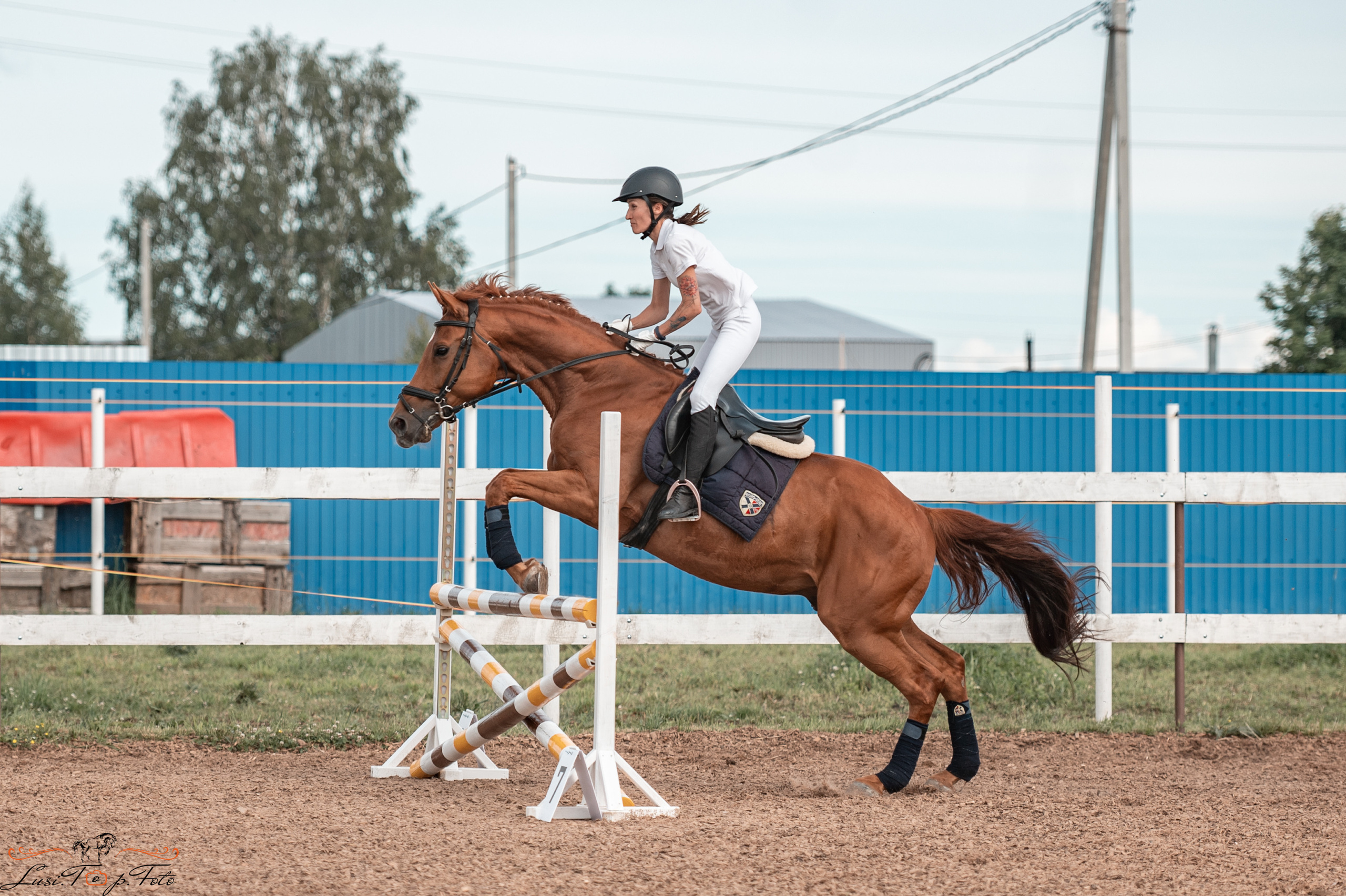 КК Резвая открытая тренировка, летний кубок. Конный и фотограф с животными в Твери Топталова Люся