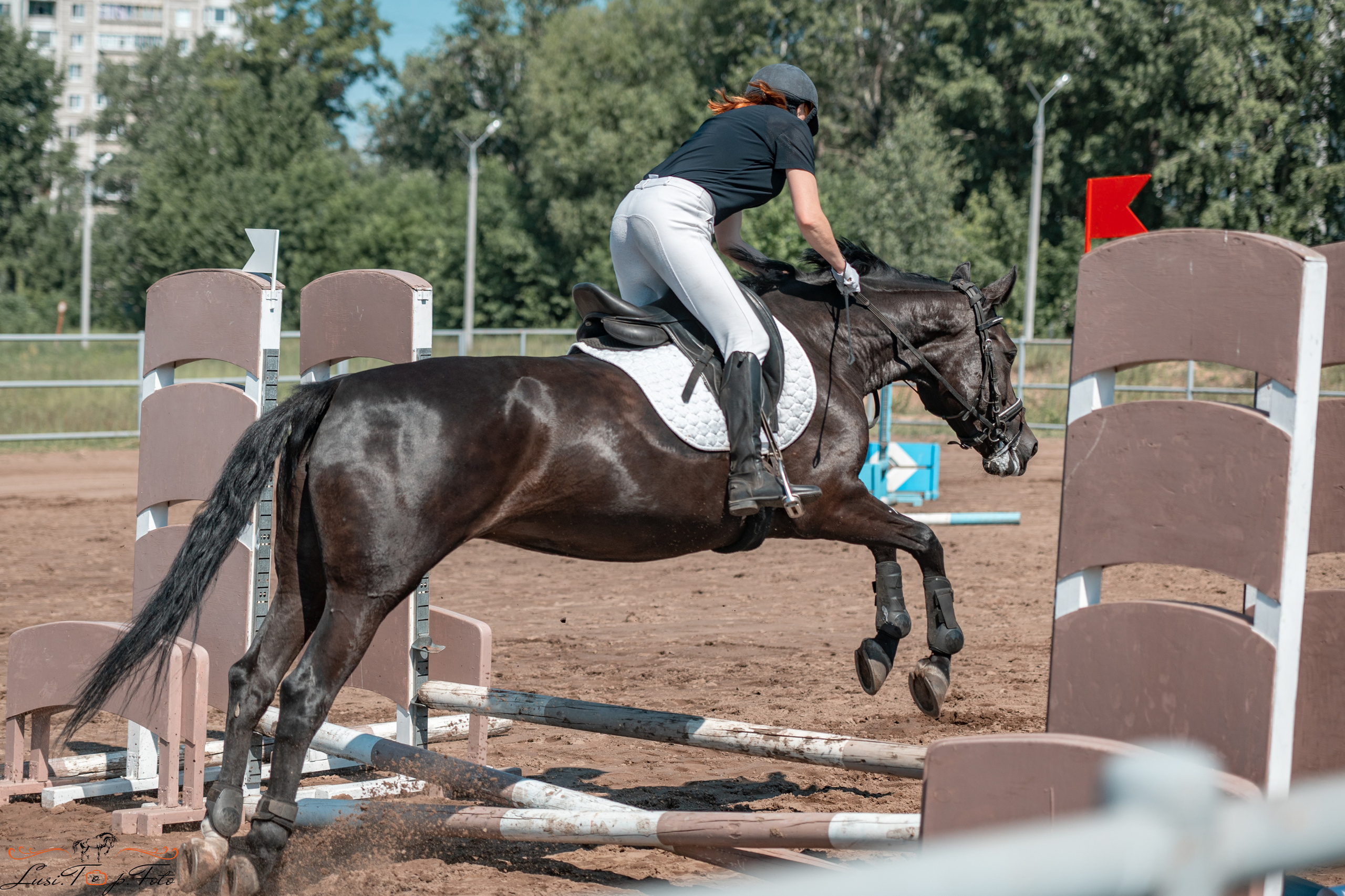 Областной турнир по конкуру КСЦ им. Натальи Серовой. Конный и фотограф с животными в Твери Топталова Люся