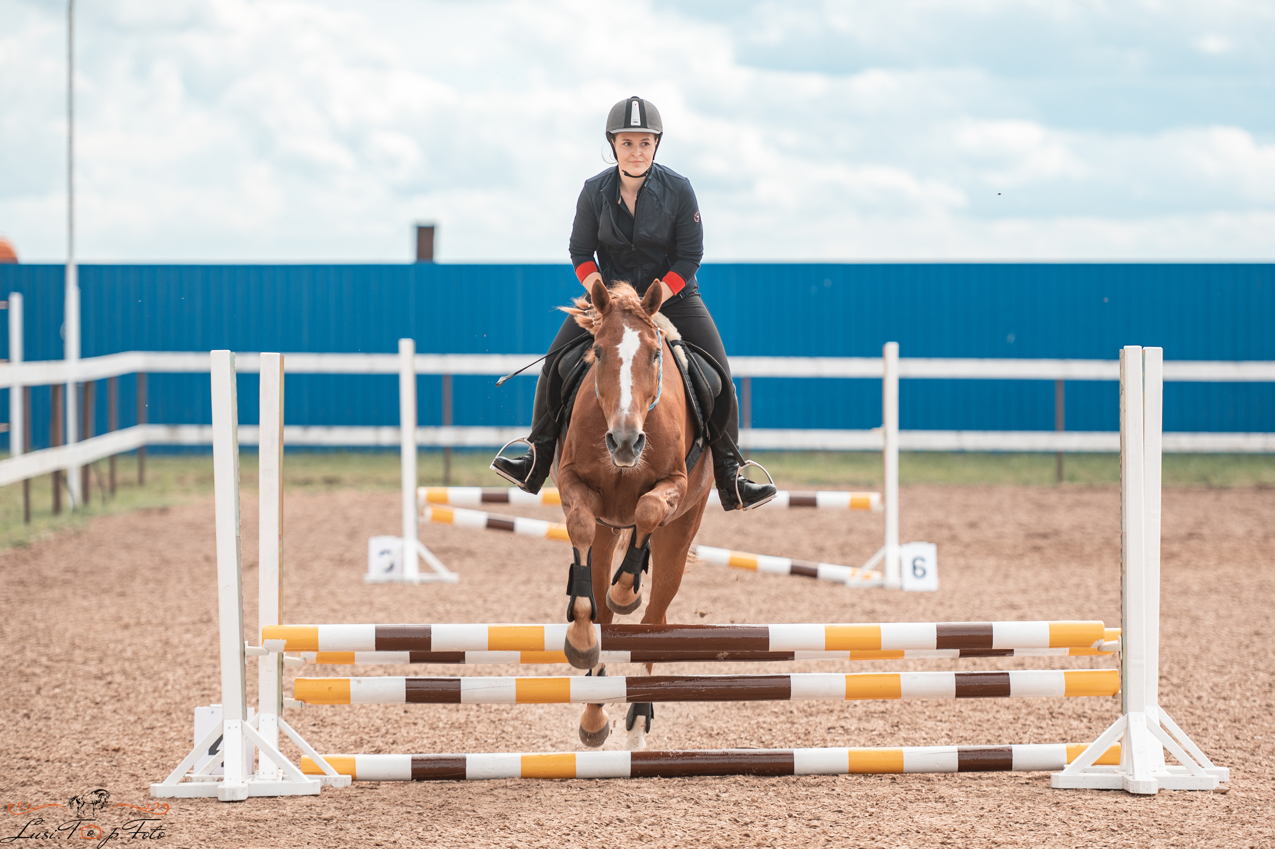 КК Резвая открытая тренировка, летний кубок. Конный и фотограф с животными в Твери Топталова Люся