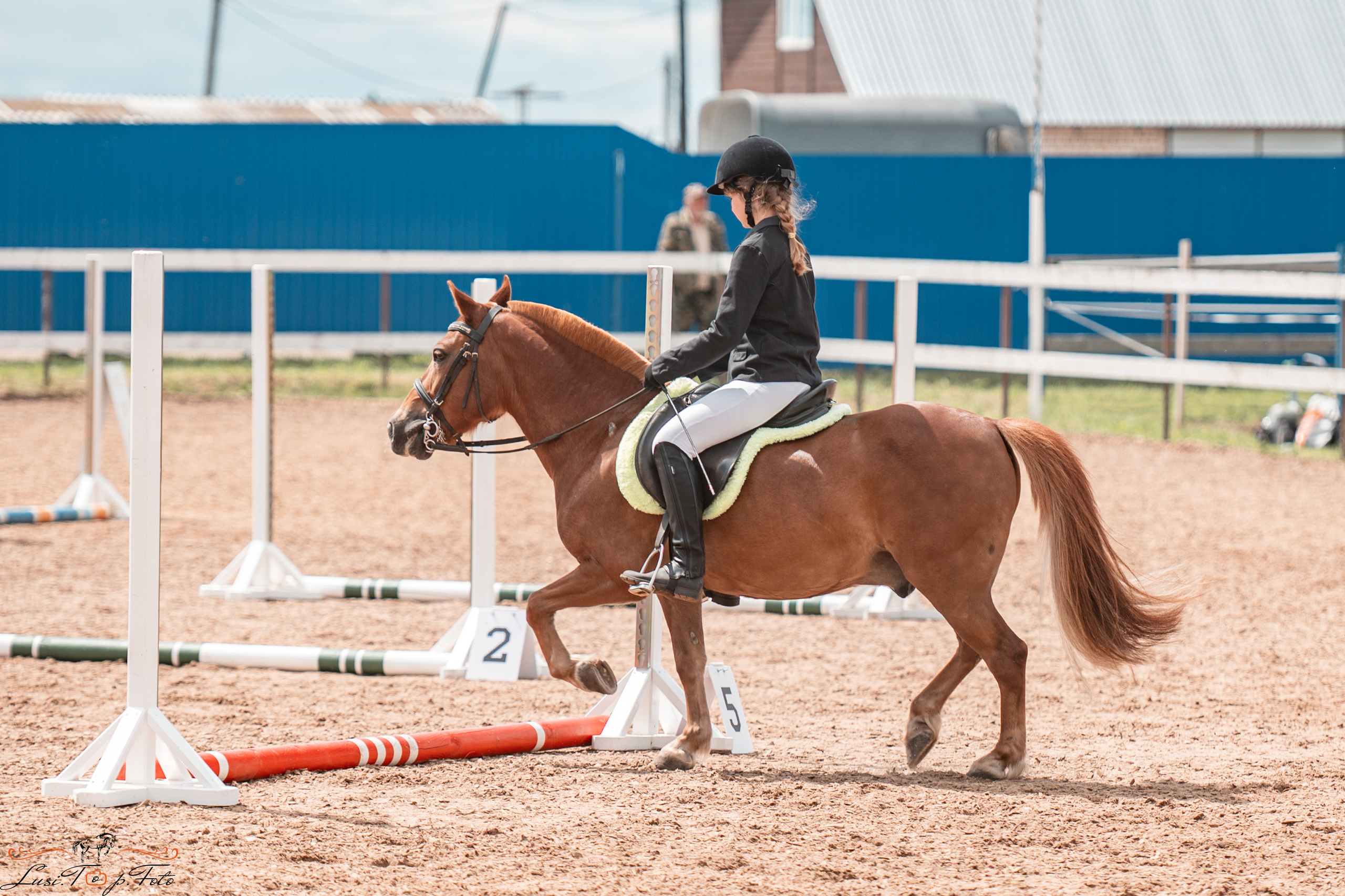 КК Резвая открытая тренировка, летний кубок. Конный и фотограф с животными в Твери Топталова Люся