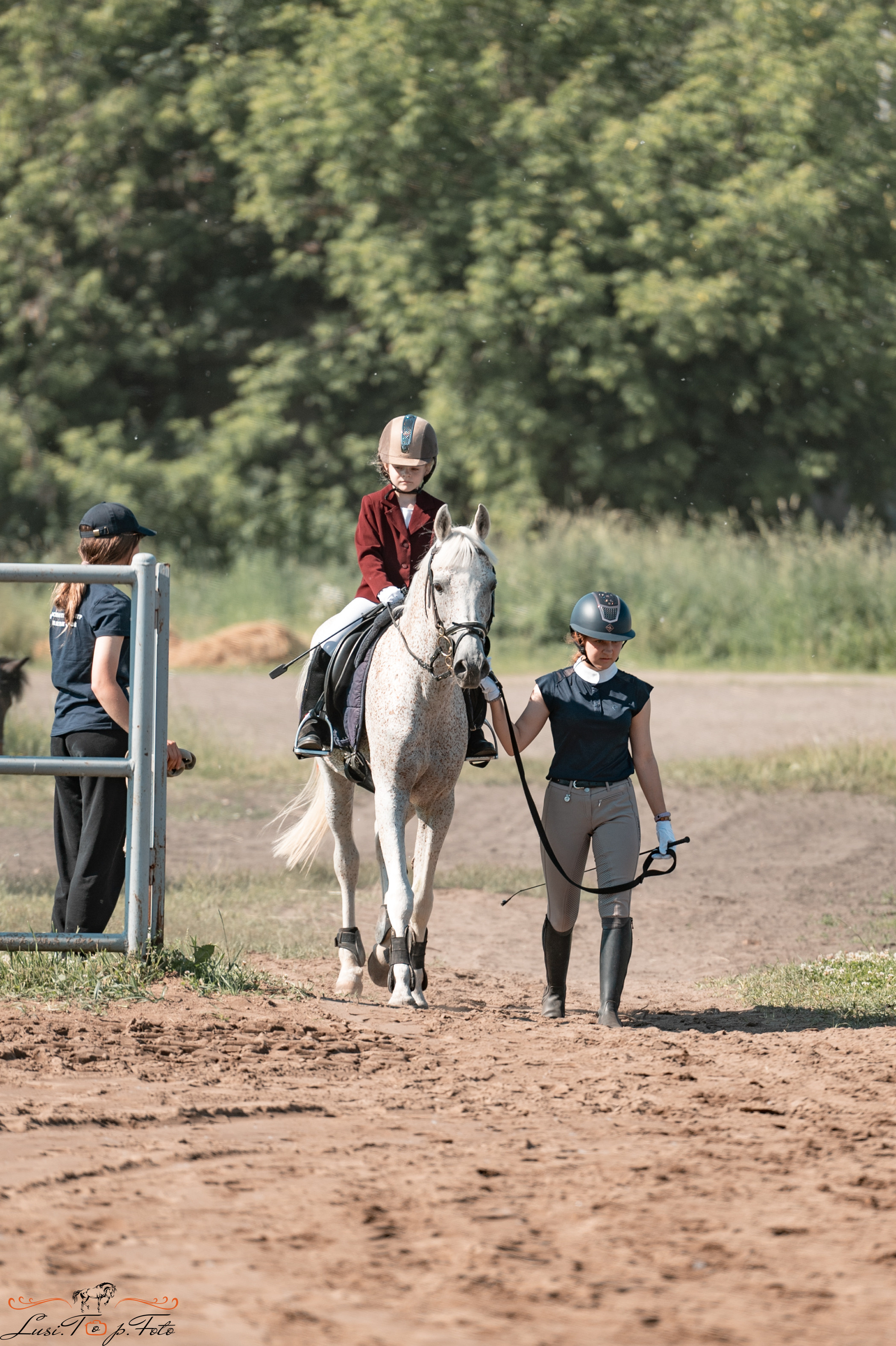 Областной турнир по конкуру КСЦ им. Натальи Серовой. Конный и фотограф с животными в Твери Топталова Люся