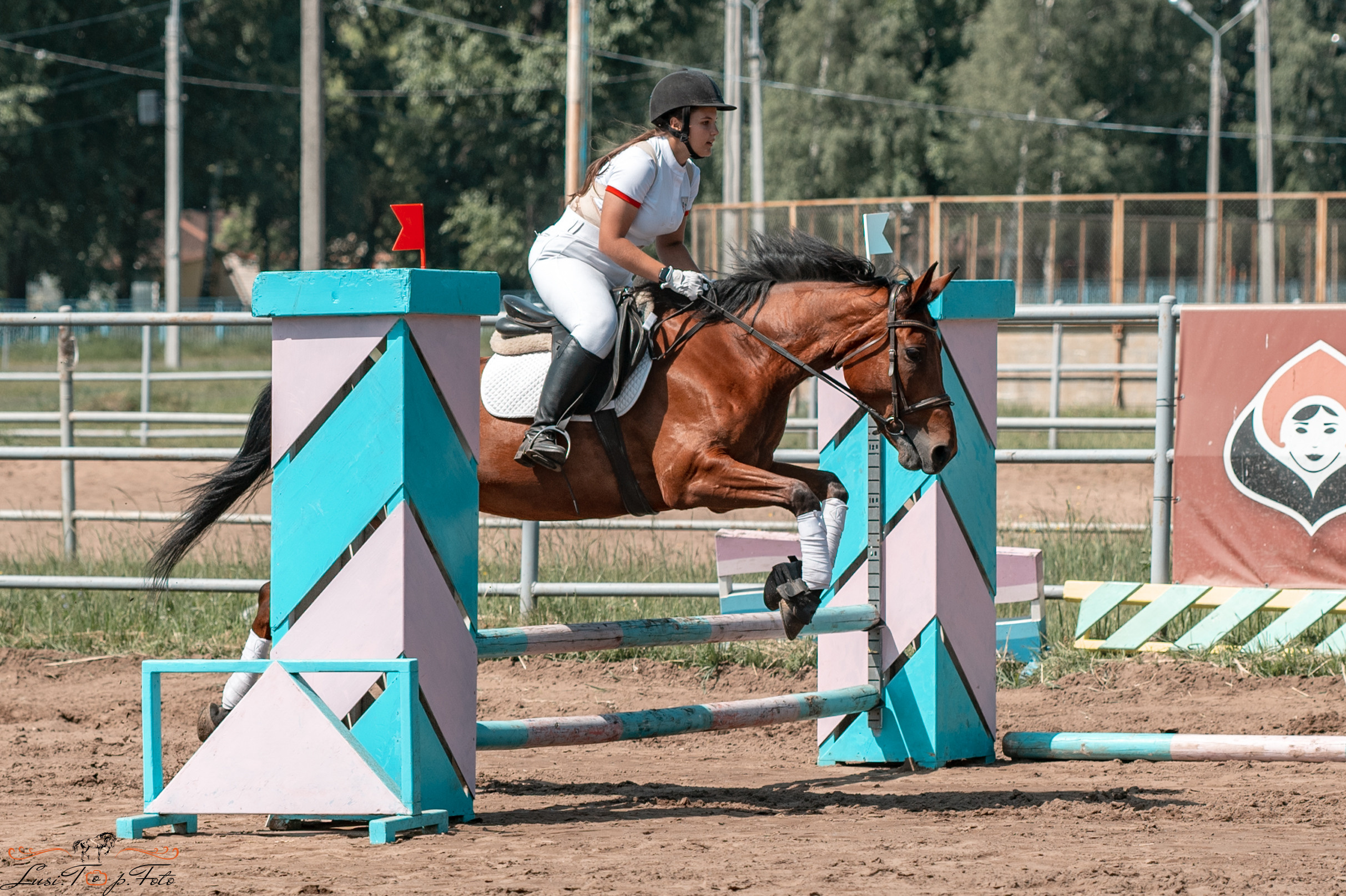 Областной турнир по конкуру КСЦ им. Натальи Серовой. Конный и фотограф с животными в Твери Топталова Люся