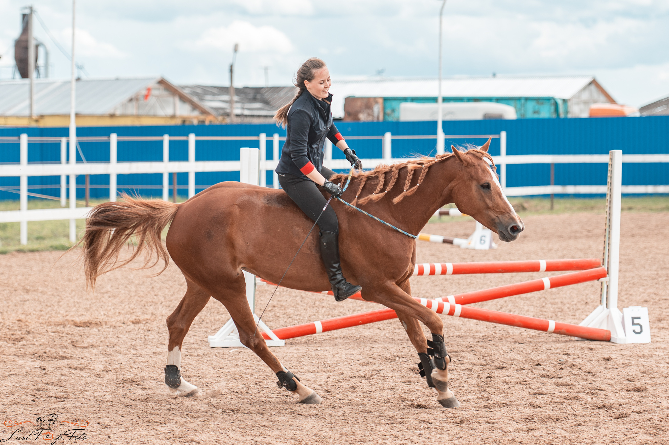 КК Резвая открытая тренировка, летний кубок. Конный и фотограф с животными в Твери Топталова Люся