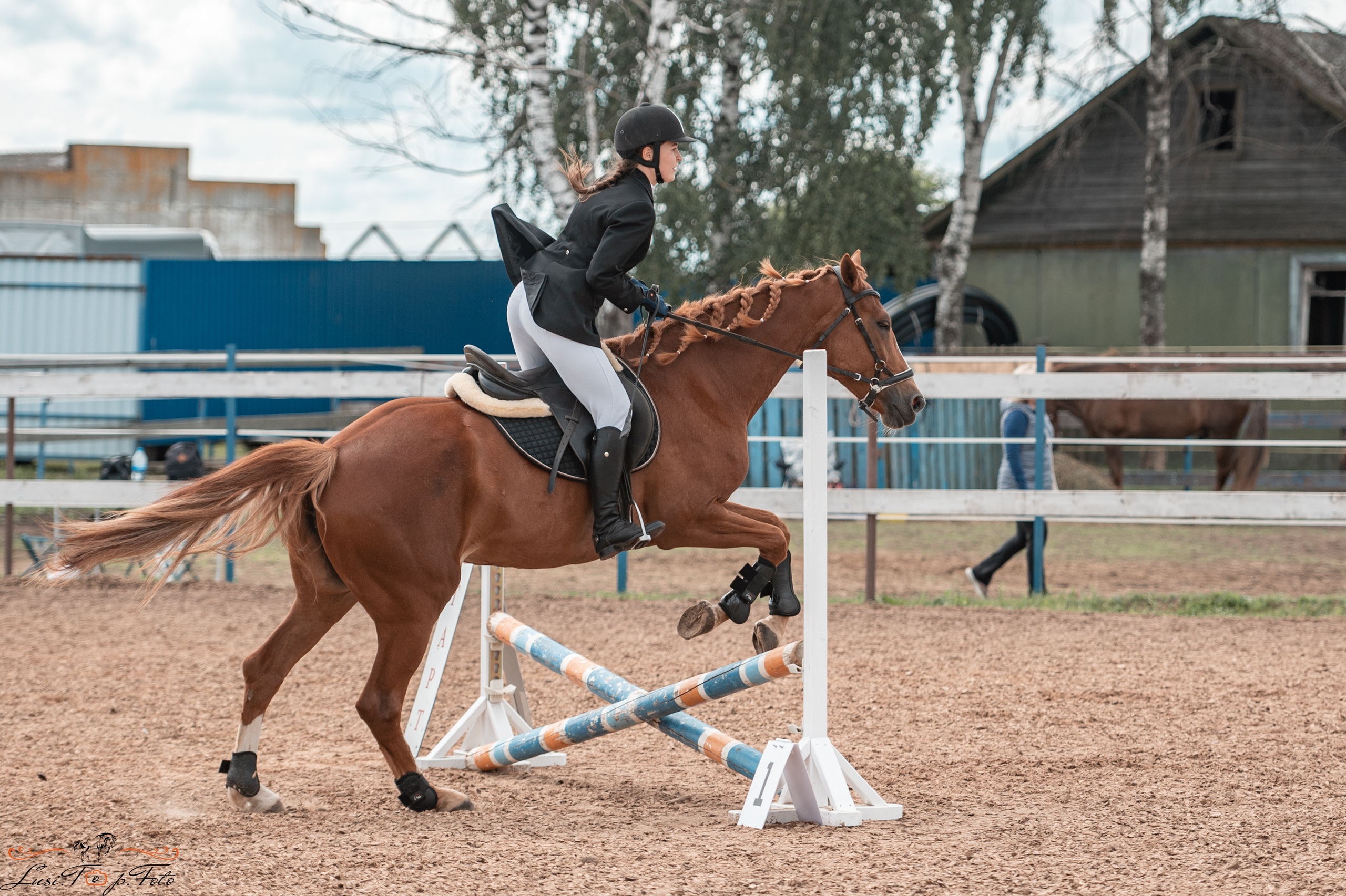 КК Резвая открытая тренировка, летний кубок. Конный и фотограф с животными в Твери Топталова Люся