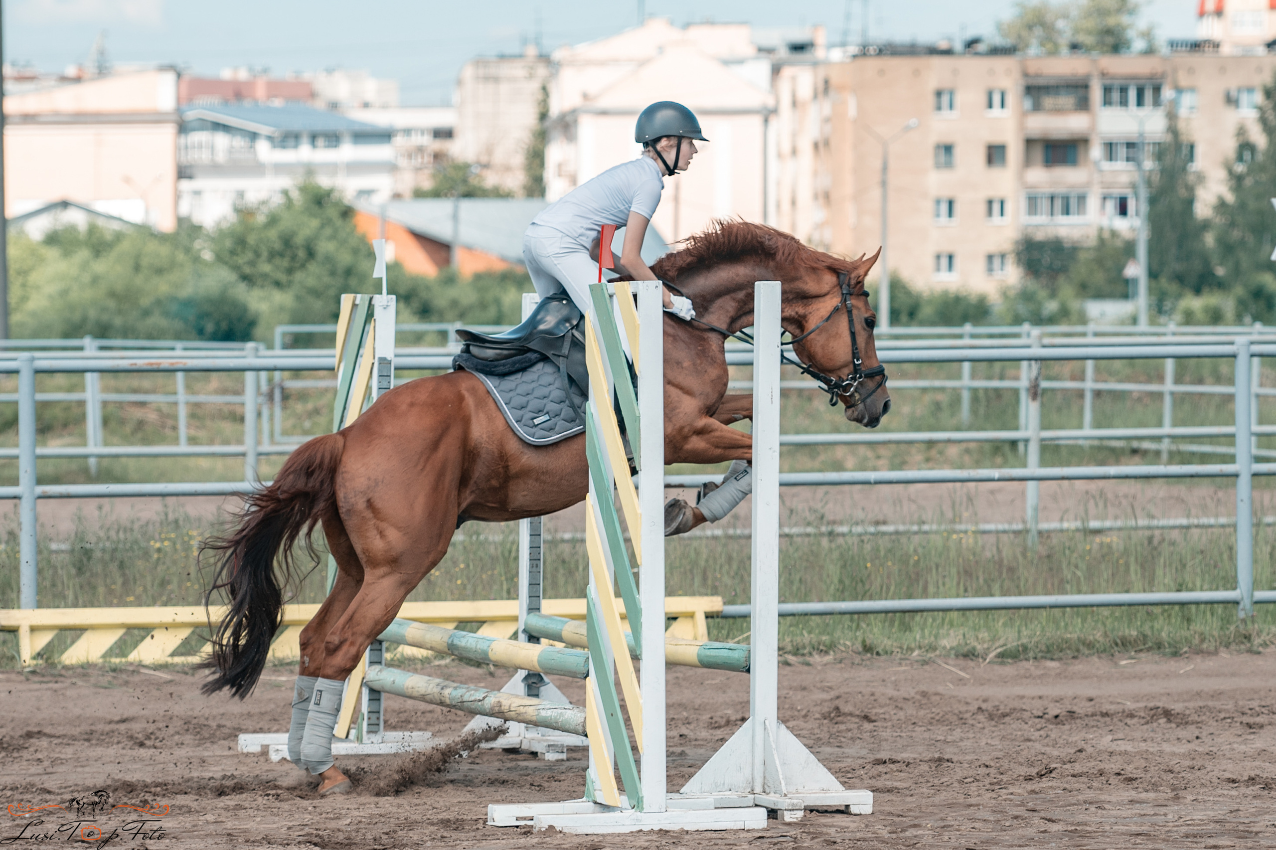 Областной турнир по конкуру КСЦ им. Натальи Серовой. Конный и фотограф с животными в Твери Топталова Люся