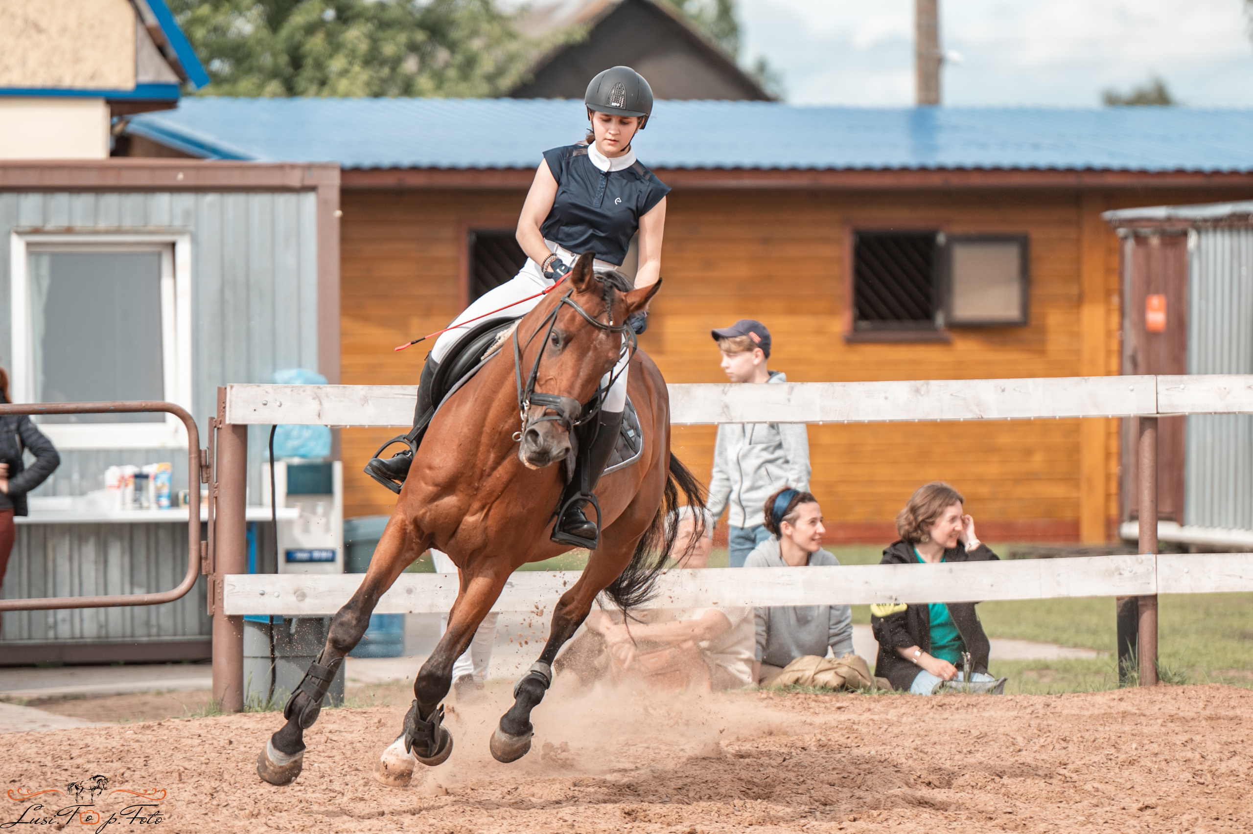 КК Резвая открытая тренировка, летний кубок. Конный и фотограф с животными в Твери Топталова Люся