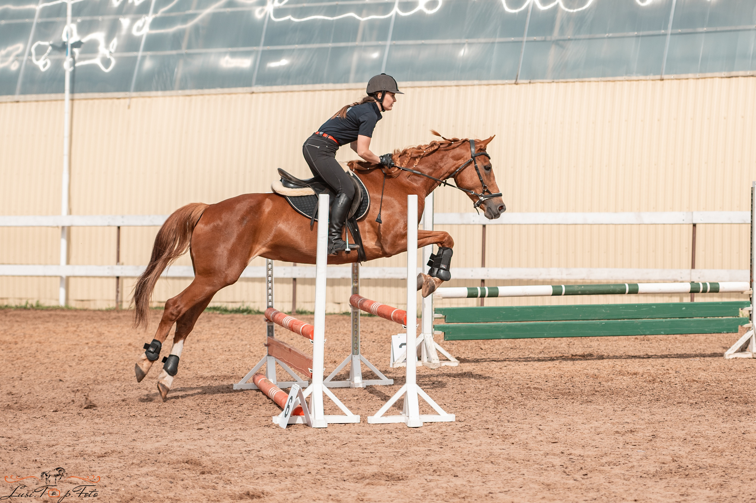 КК Резвая открытая тренировка, летний кубок. Конный и фотограф с животными в Твери Топталова Люся