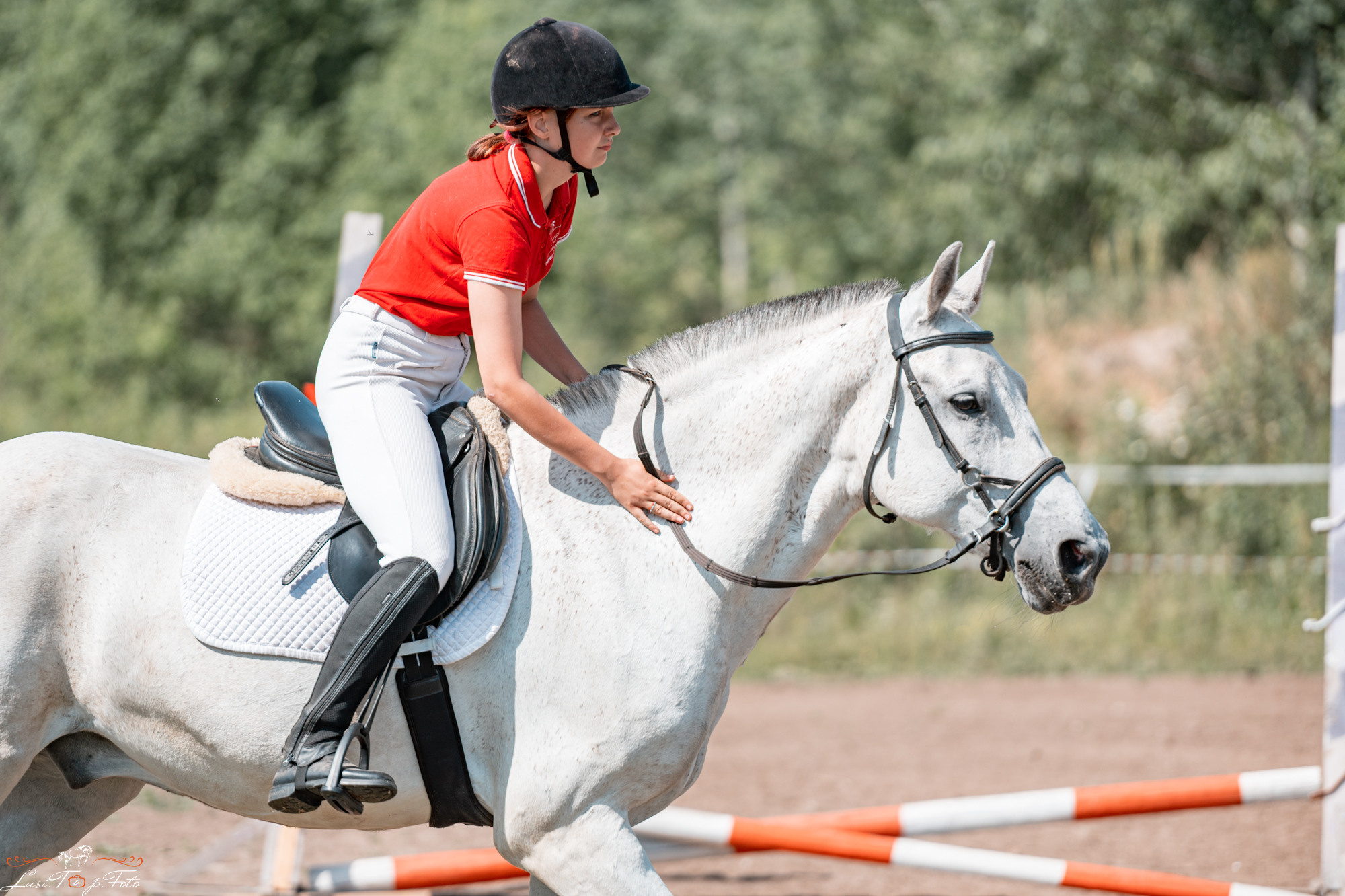 Открытая тренировка КК Forest Horse д. Олбово. Конный и фотограф с животными в Твери Топталова Люся