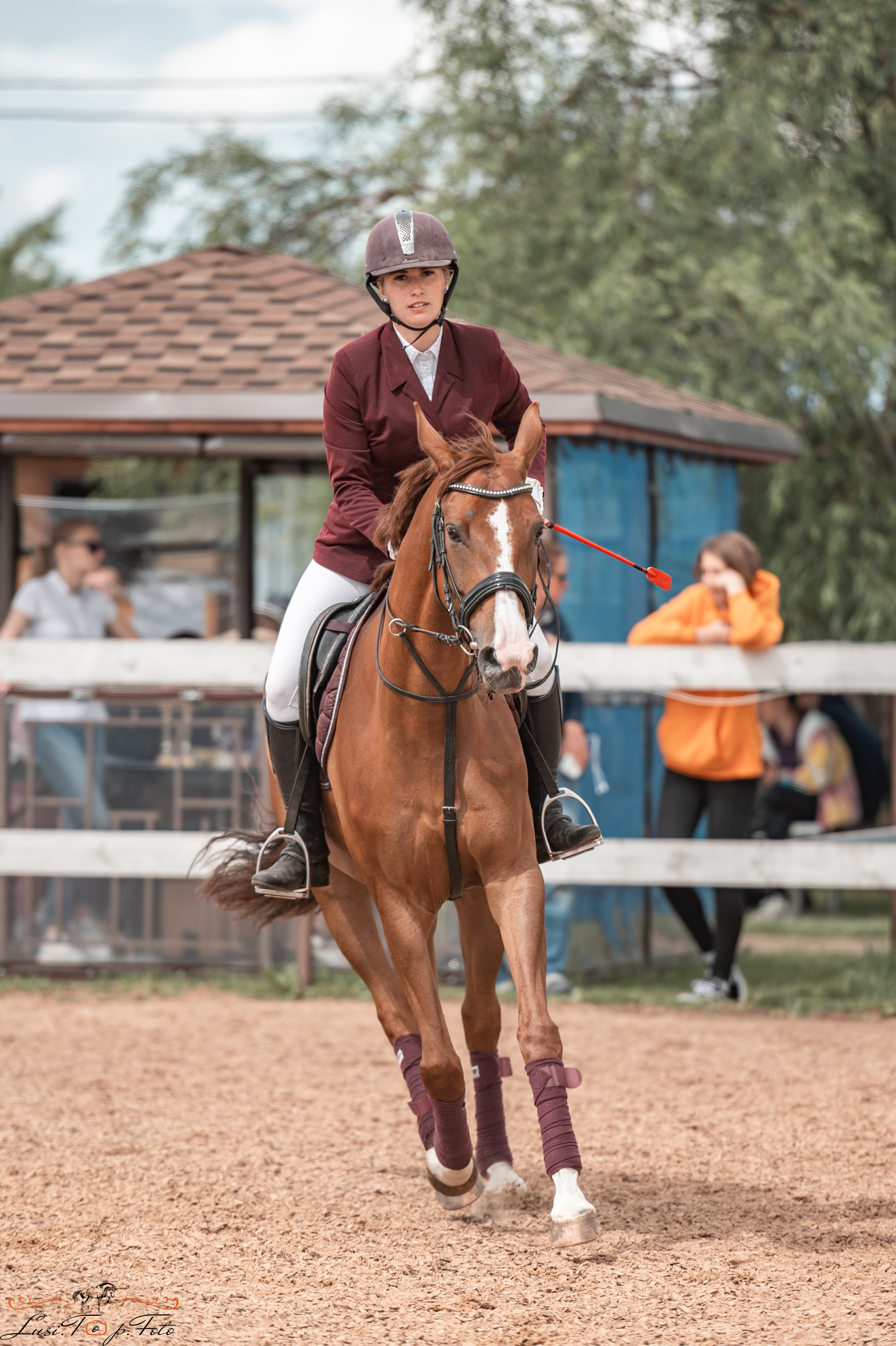 КК Резвая открытая тренировка, летний кубок. Конный и фотограф с животными в Твери Топталова Люся