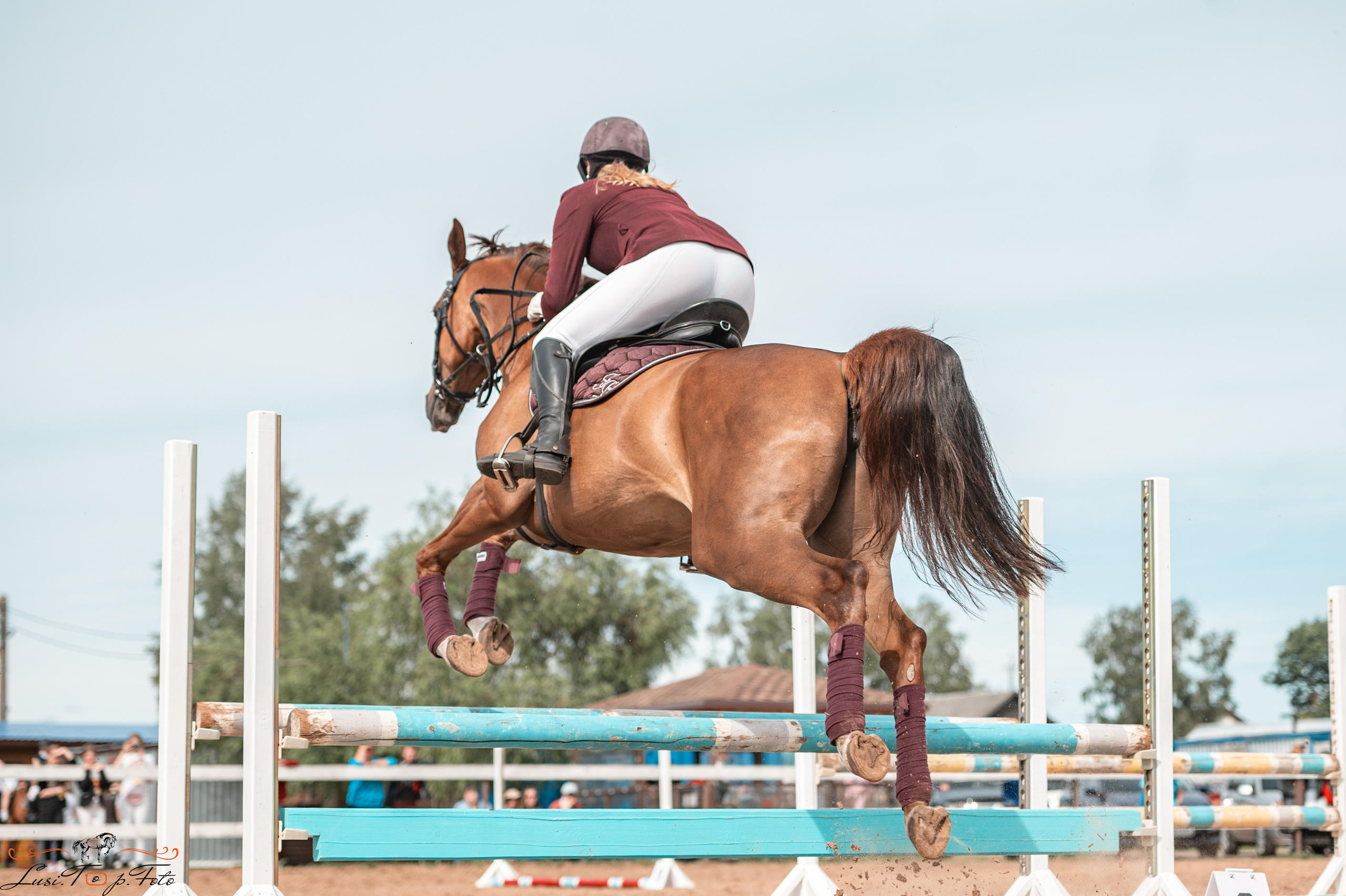 КК Резвая открытая тренировка, летний кубок. Конный и фотограф с животными в Твери Топталова Люся